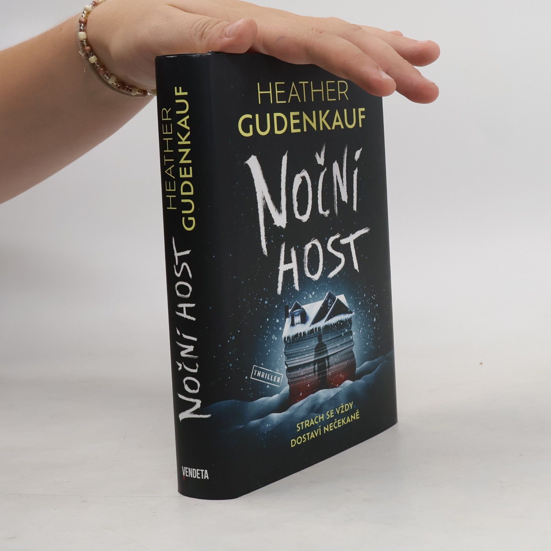 Heather Gudenkauf Noční host