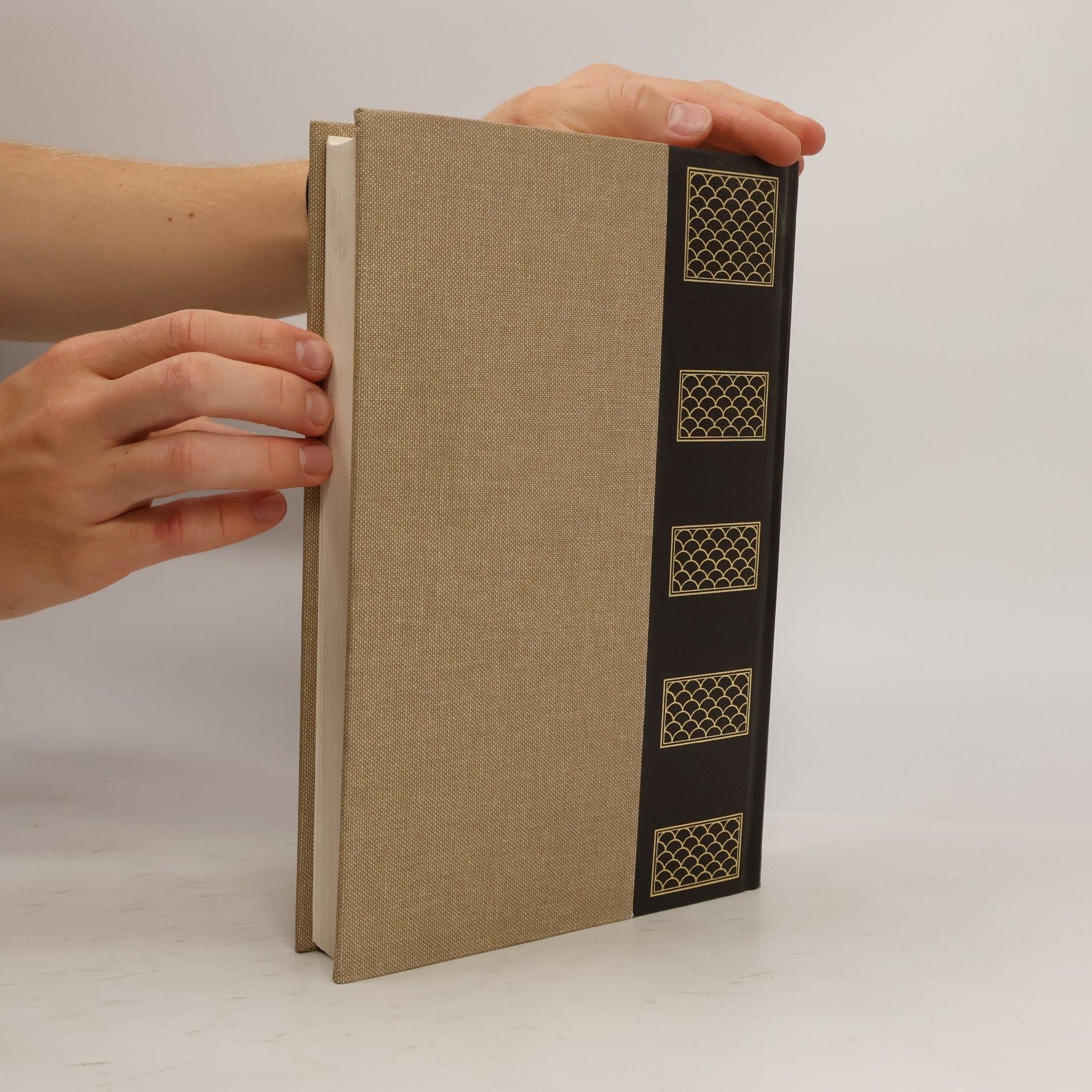 Autores varios Rizzoli Larousse Enciclopedia Metódica I.