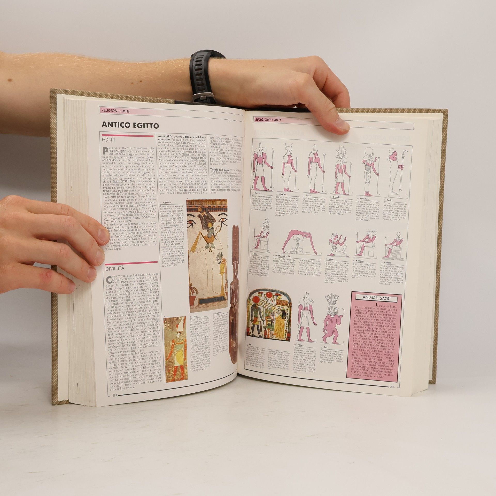 Autores varios Rizzoli Larousse Enciclopedia Metódica I.