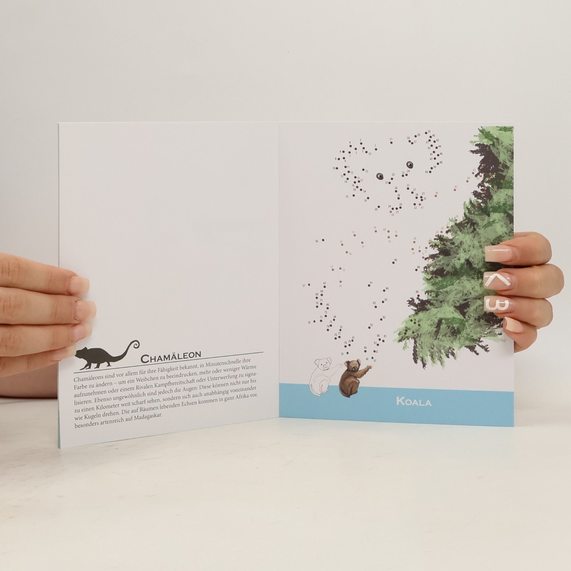 Autorenkollektiv Exotische Tiere