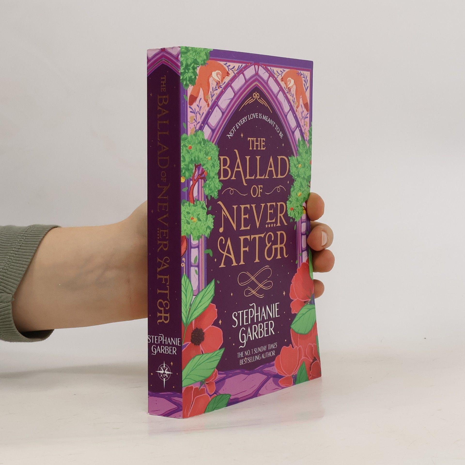 Stephanie Garber The Ballad of Never After
