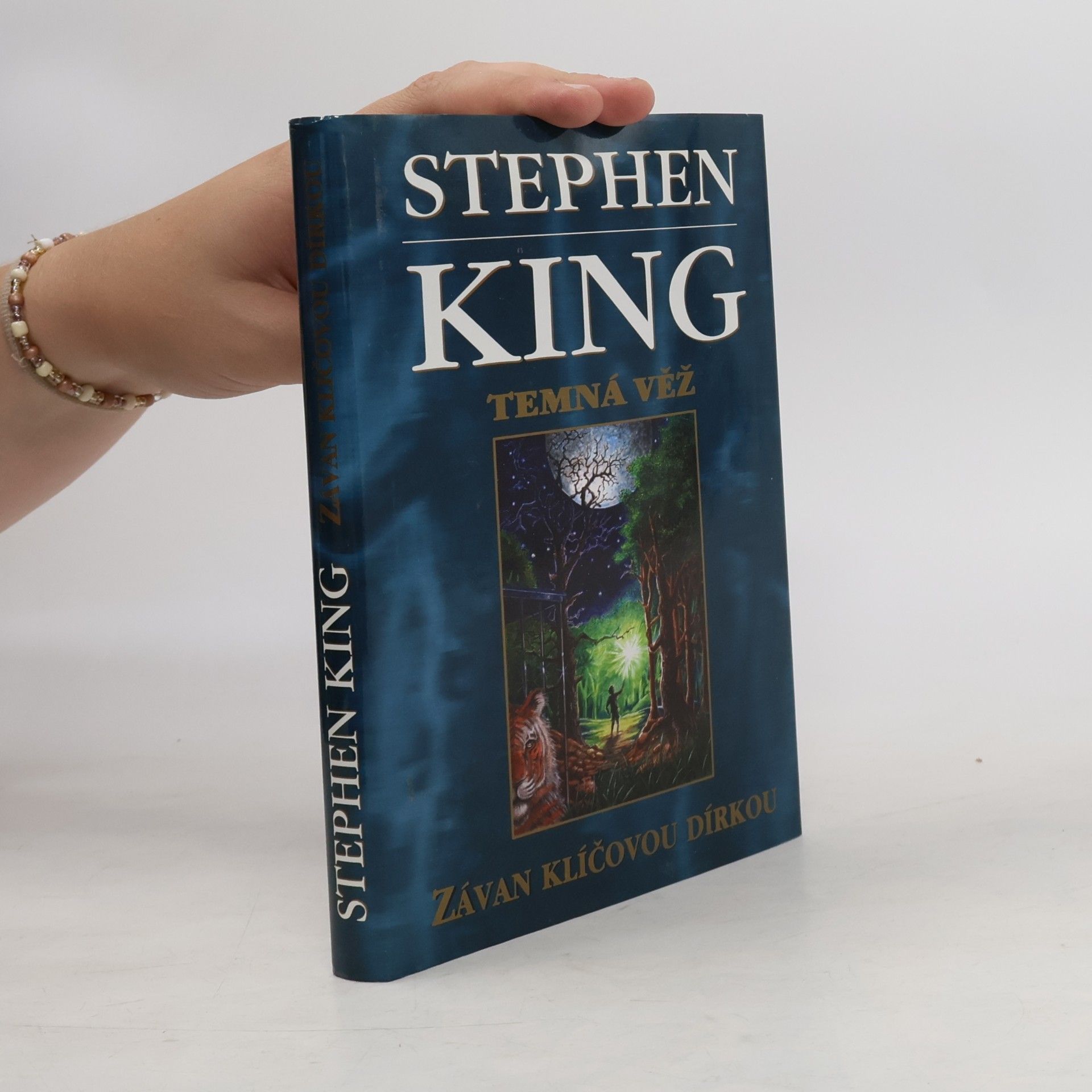 Stephen King Temná věž: Závan klíčovou dírkou