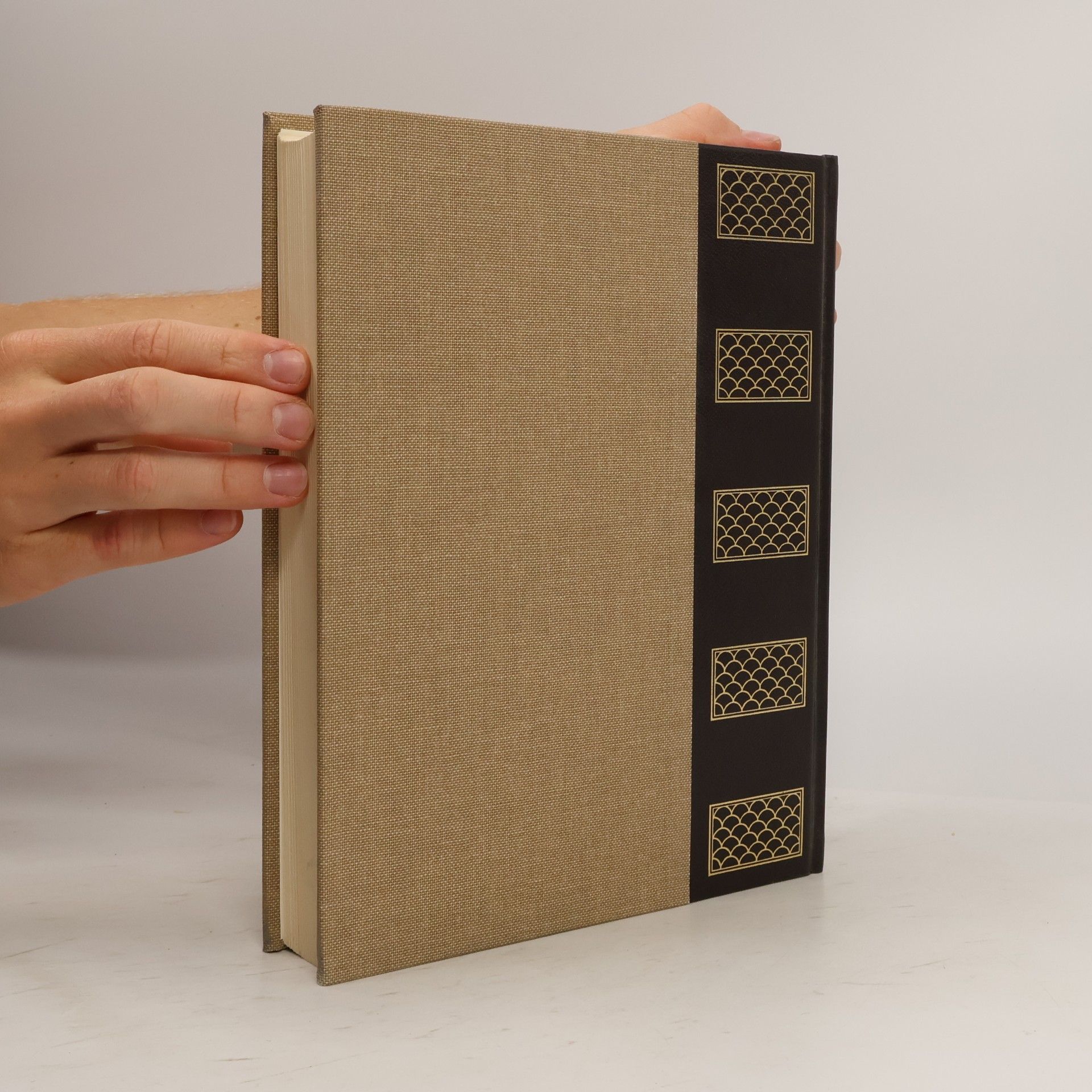 AA.VV. Rizzoli, Larousse. Enciclopedia universale XIX