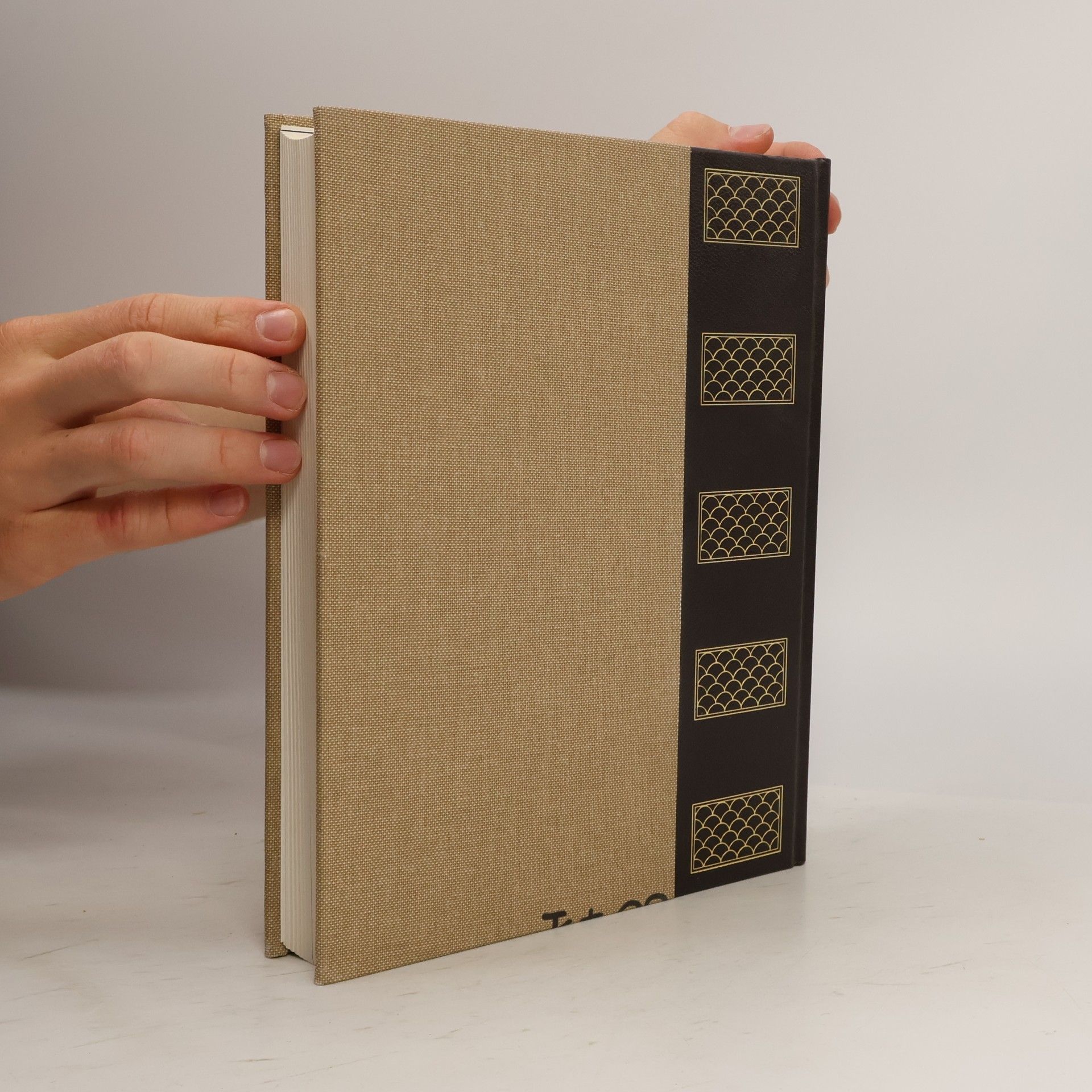 AA.VV. Rizzoli Larousse. Enciclopedia Universale XXI.