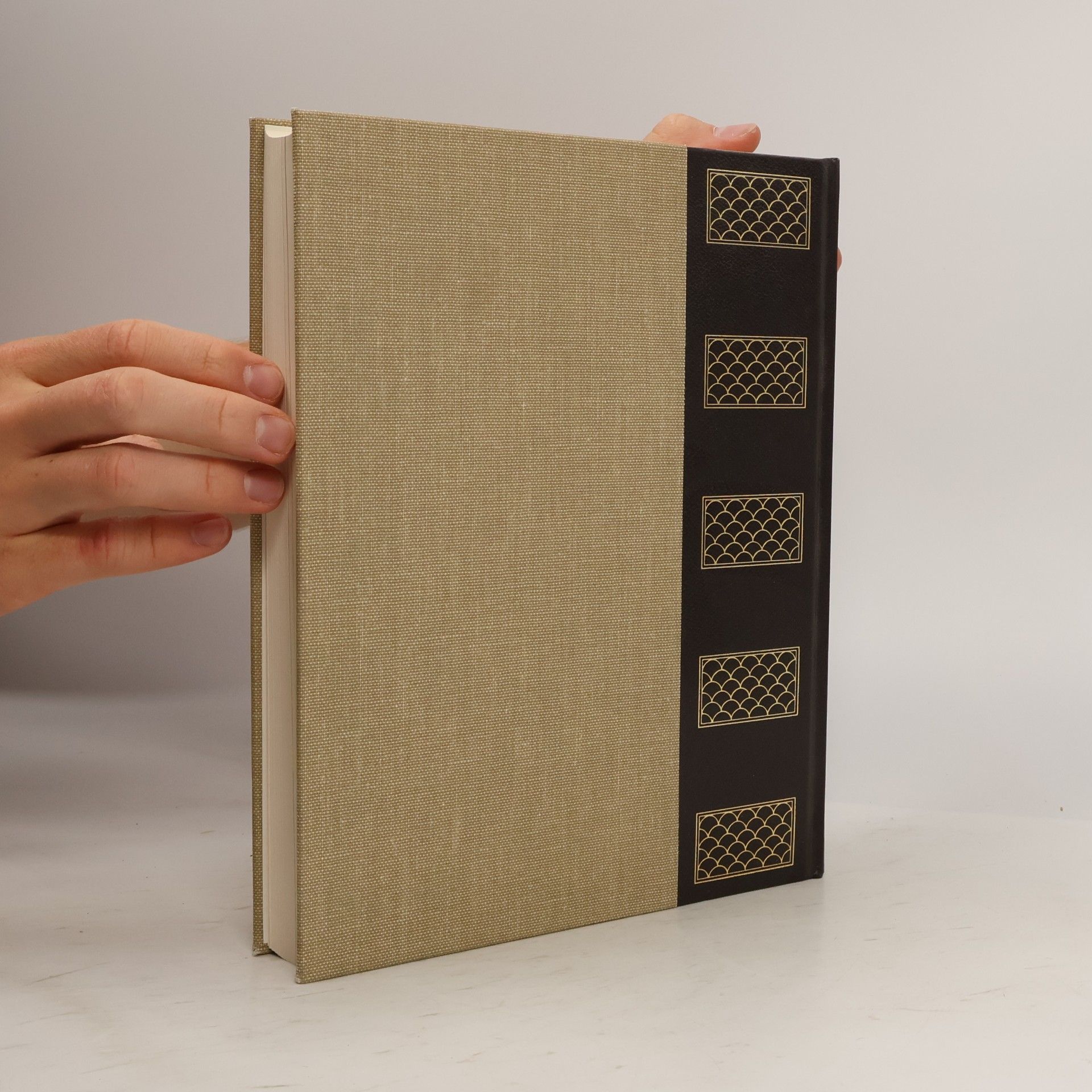 Autorenkollektiv Rizzoli, Larousse. Enciclopedia Universale XX. Aggiornamento