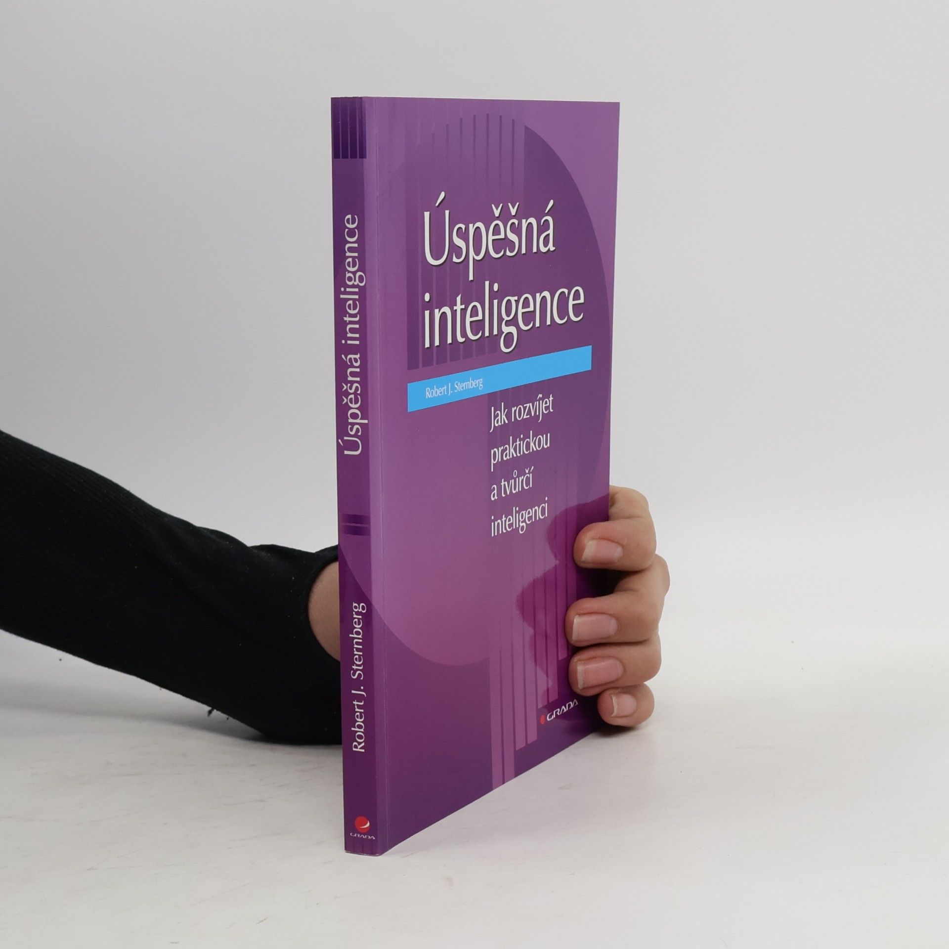 Robert Sternberg Úspěšná inteligence : jak rozvíjet praktickou a tvůrčí inteligenci
