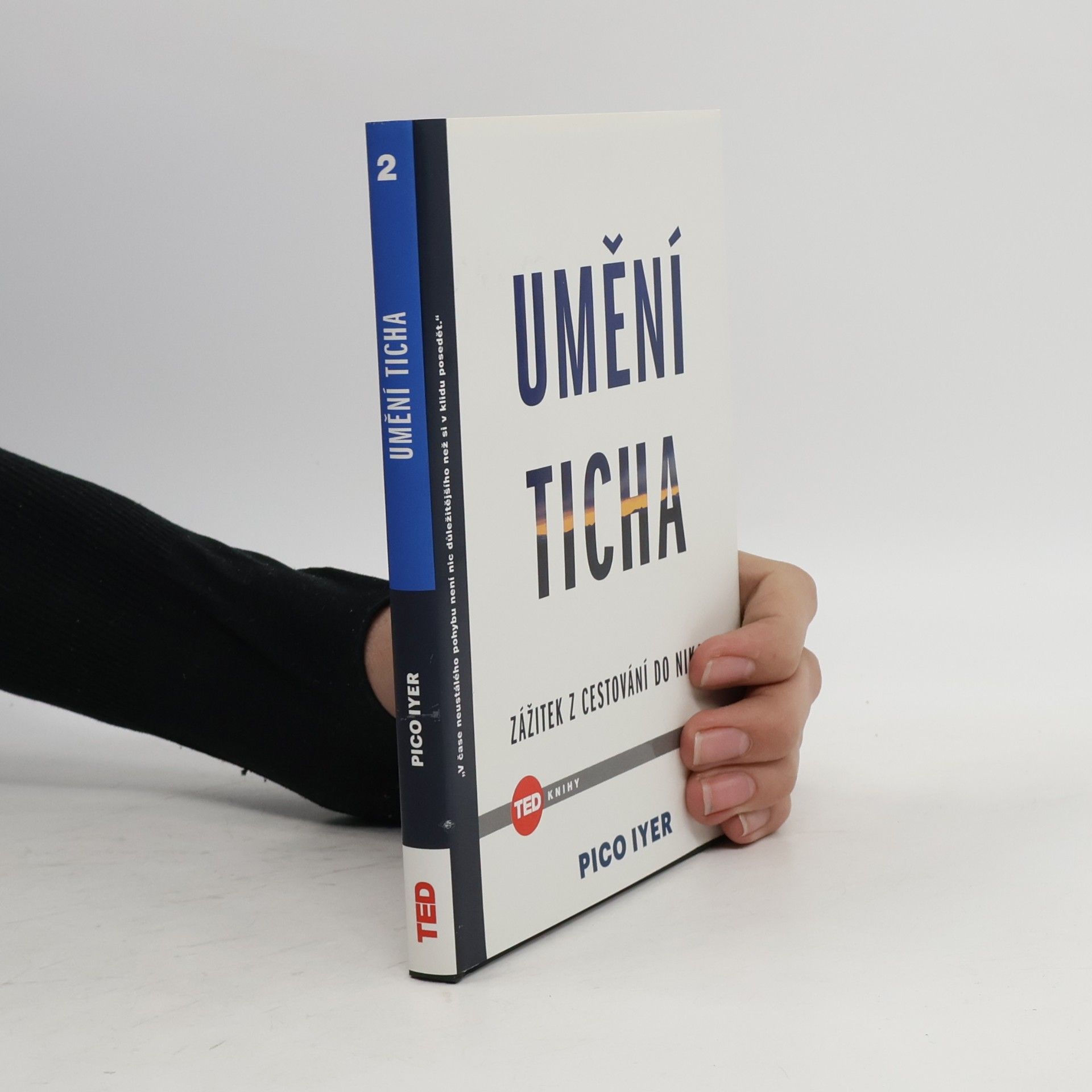 Pico Iyer Umění ticha. Zážitek z cestování do Nikam
