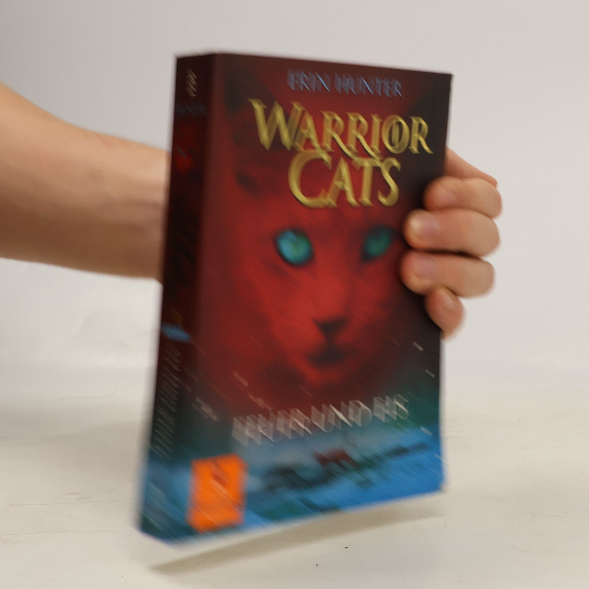 Erin Hunter Warrior Cats. Feuer und Eis