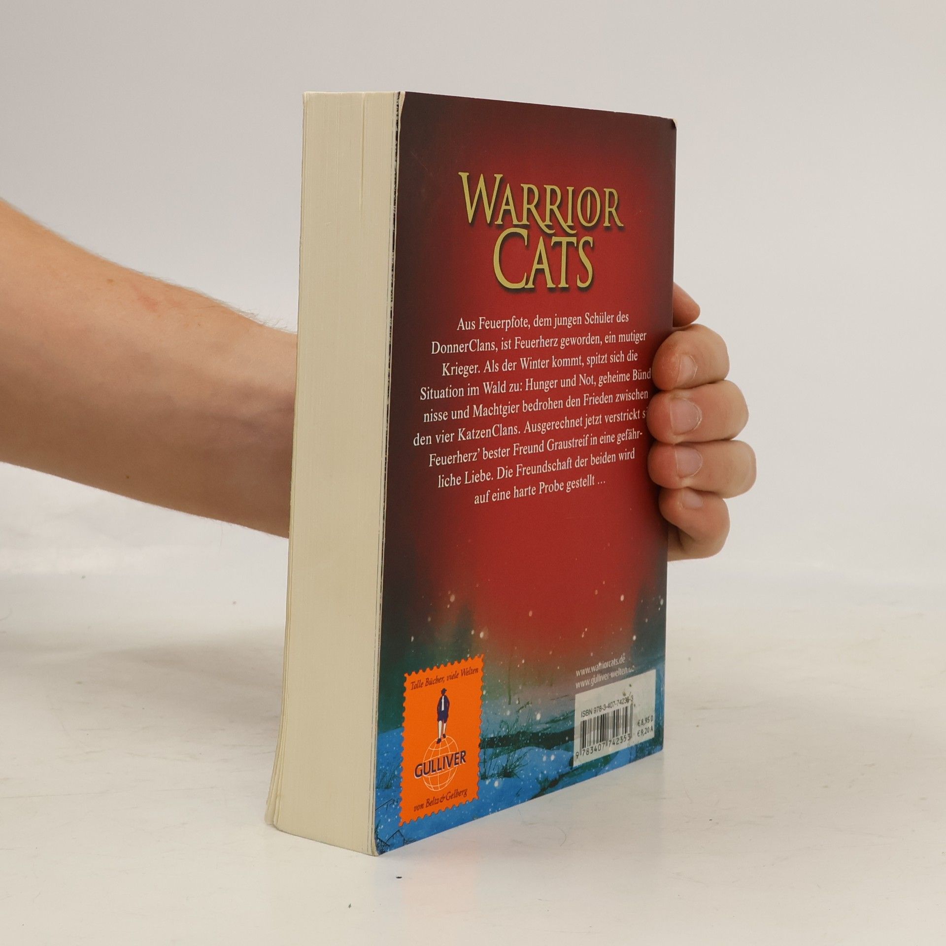 Erin Hunter Warrior Cats. Feuer und Eis