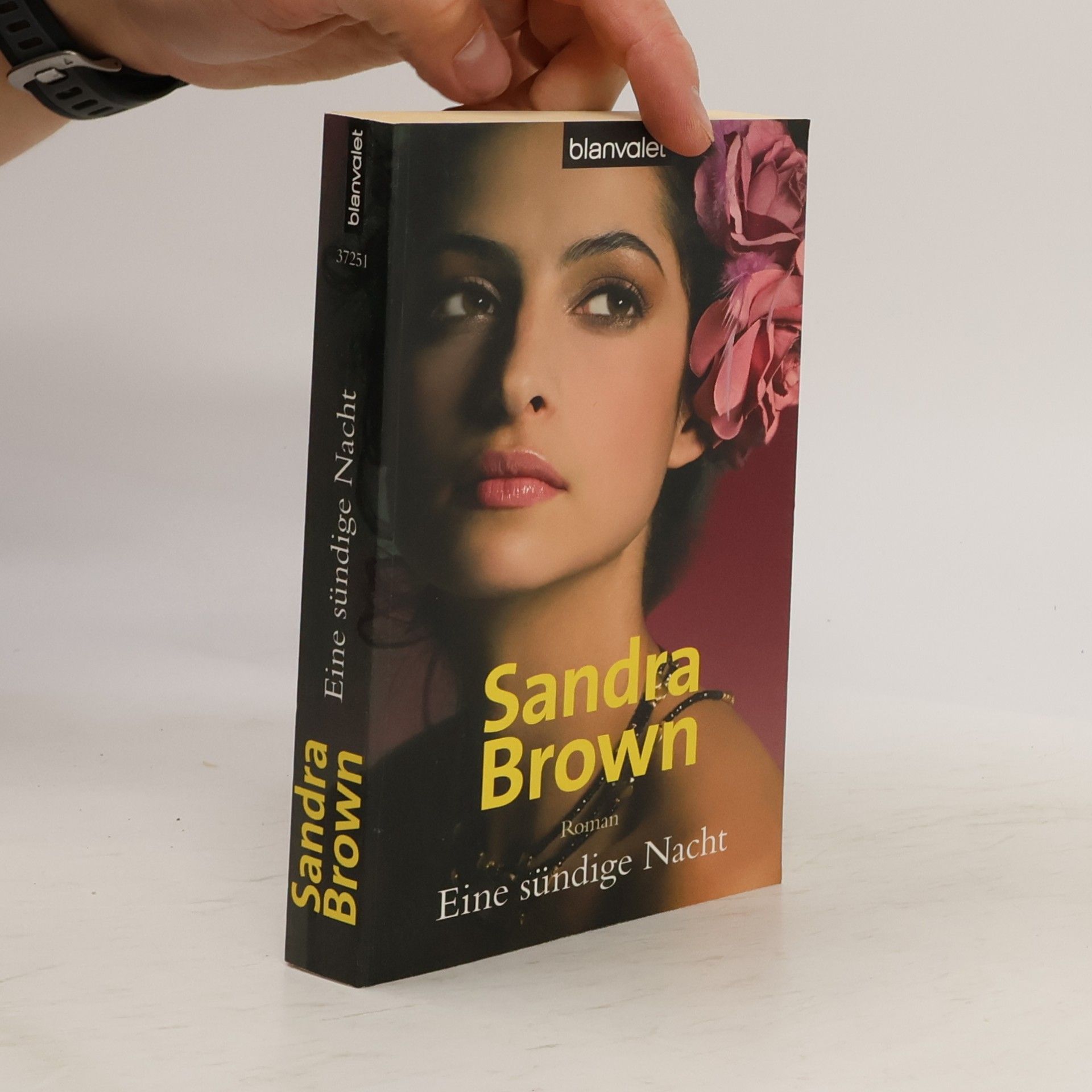 Sandra Brown Eine sündige Nacht