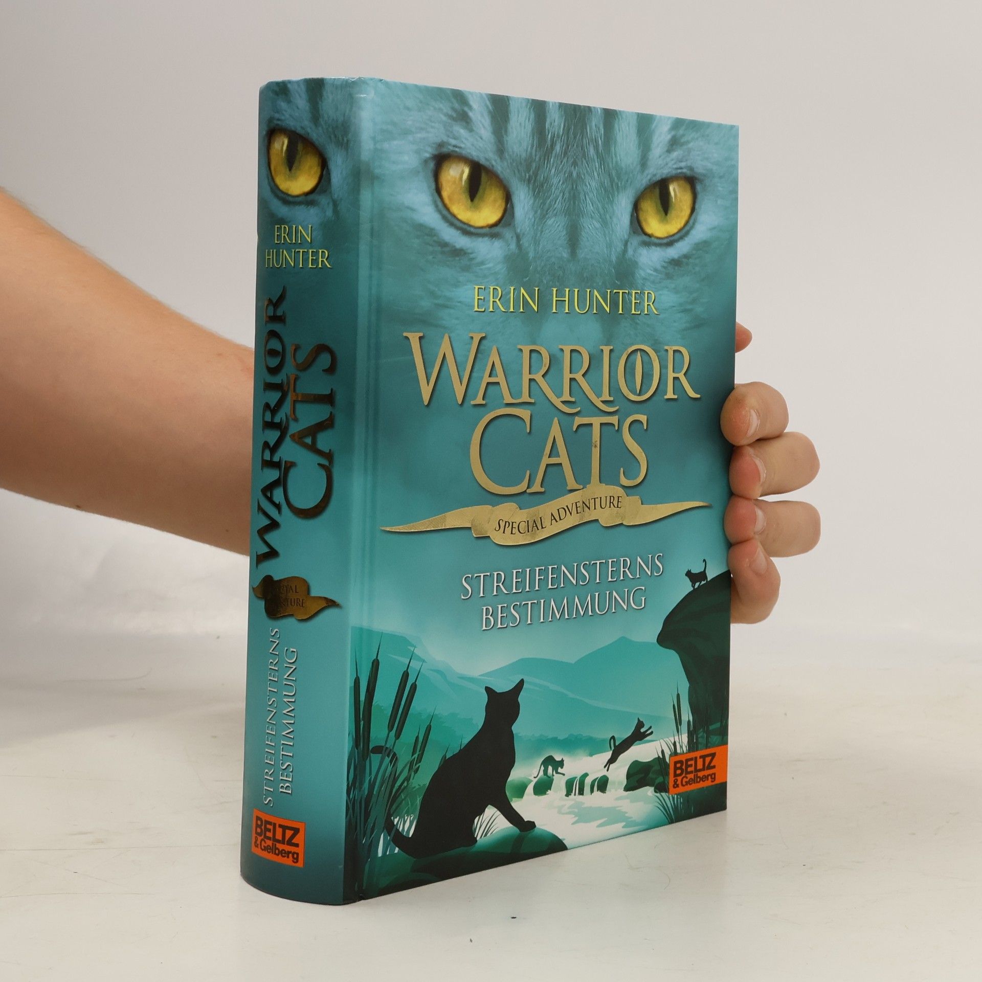 Erin Hunter Warrior cats - special adventure