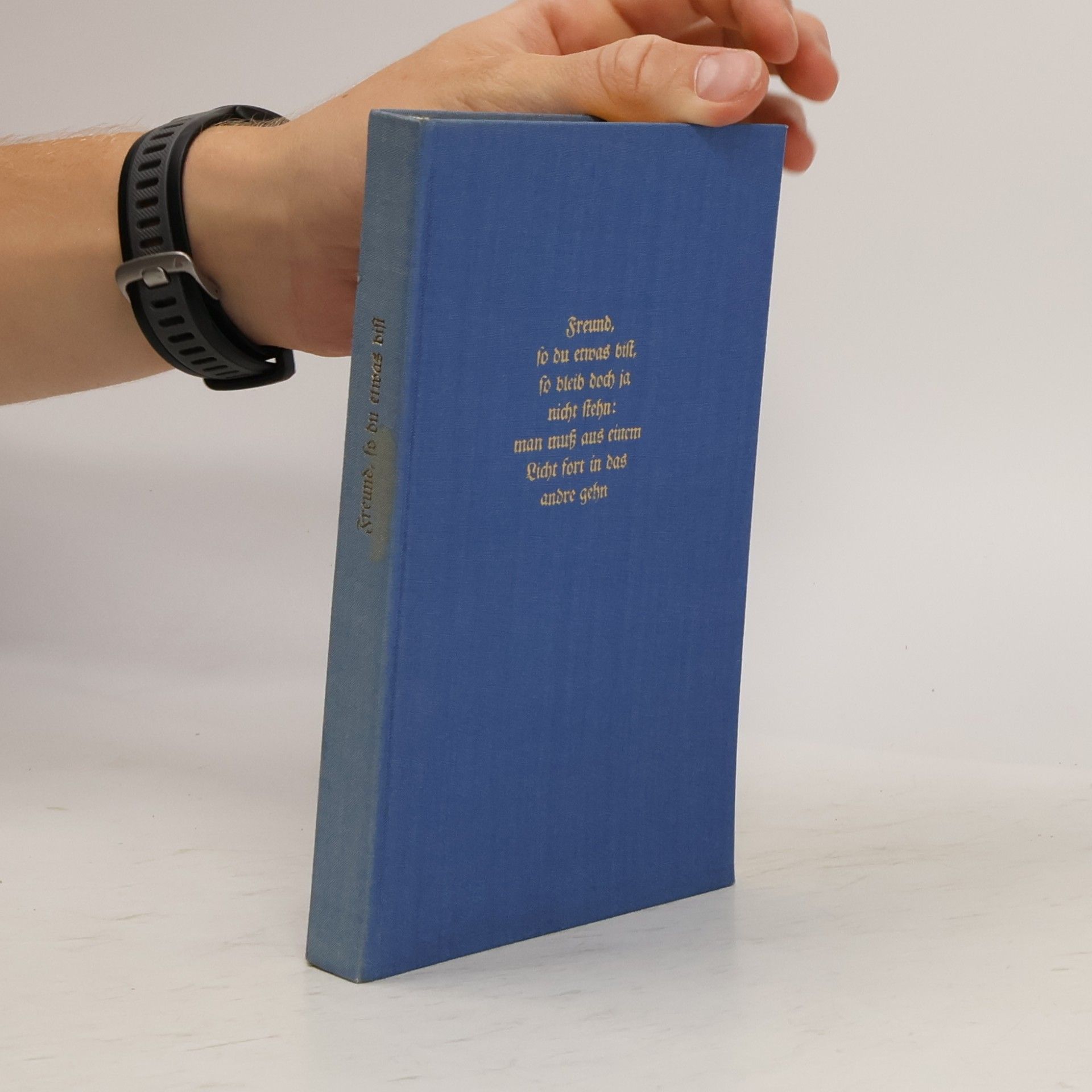 Heinrich Tieck Freund, so du etwas bist, so bleib doch ja nicht stehn: Man muss aus einem Licht fort in das andre gehn