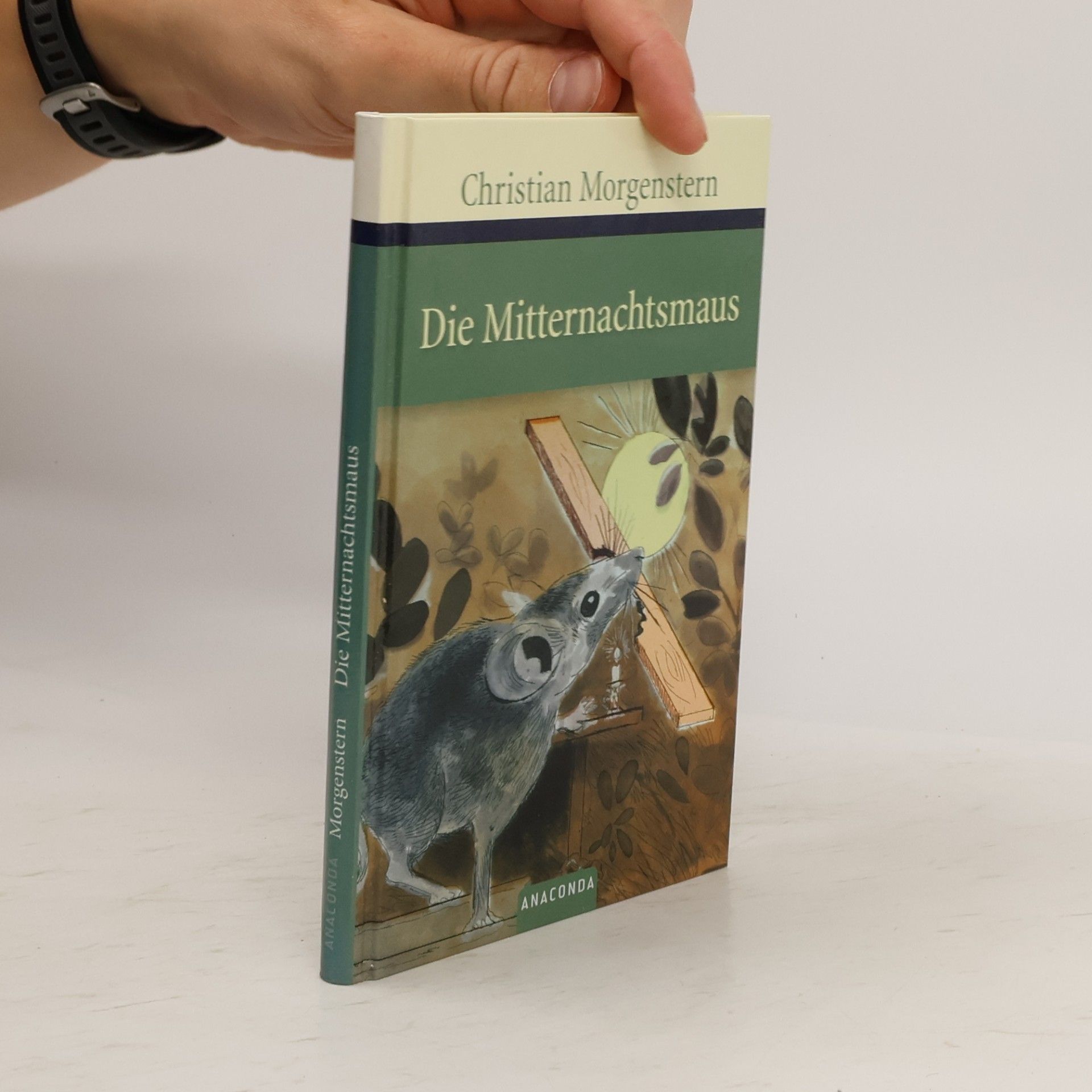 Christian Morgenstern Die Mitternachtsmaus