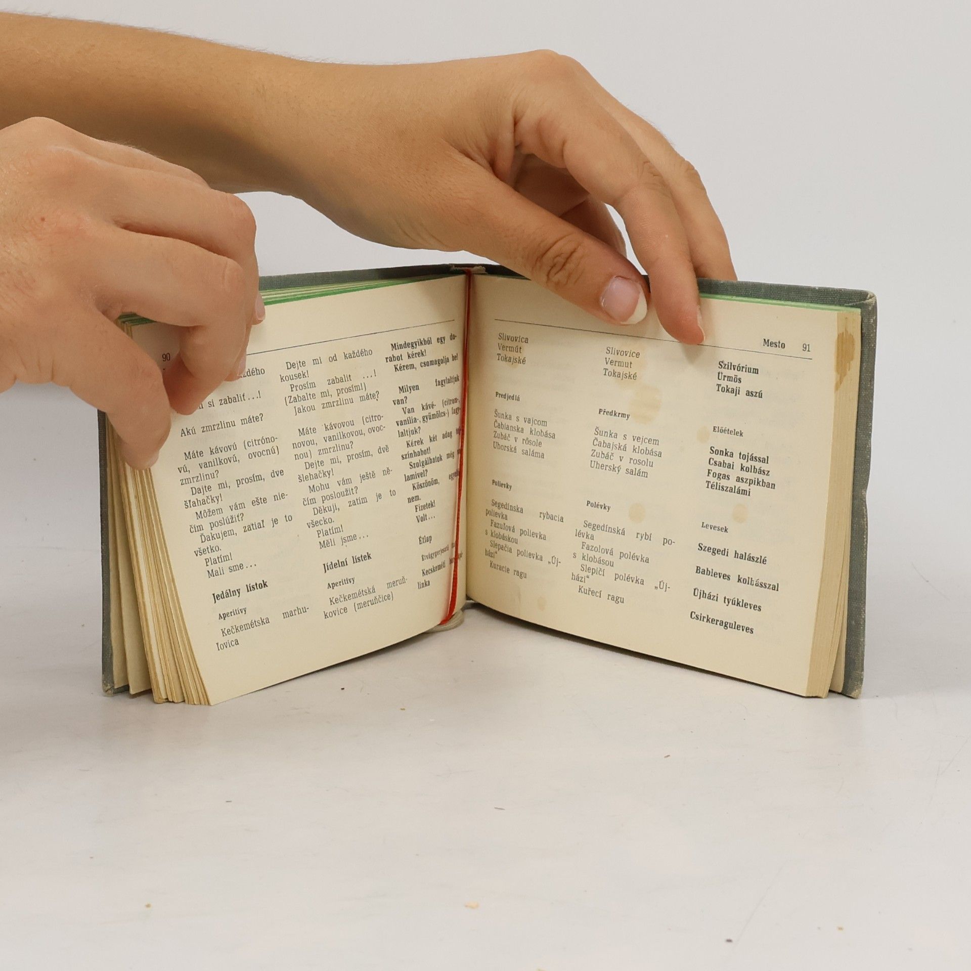 Various authors Rozprávate po maďarsky? Mluvíte maďarsky? Beszél magyarul?