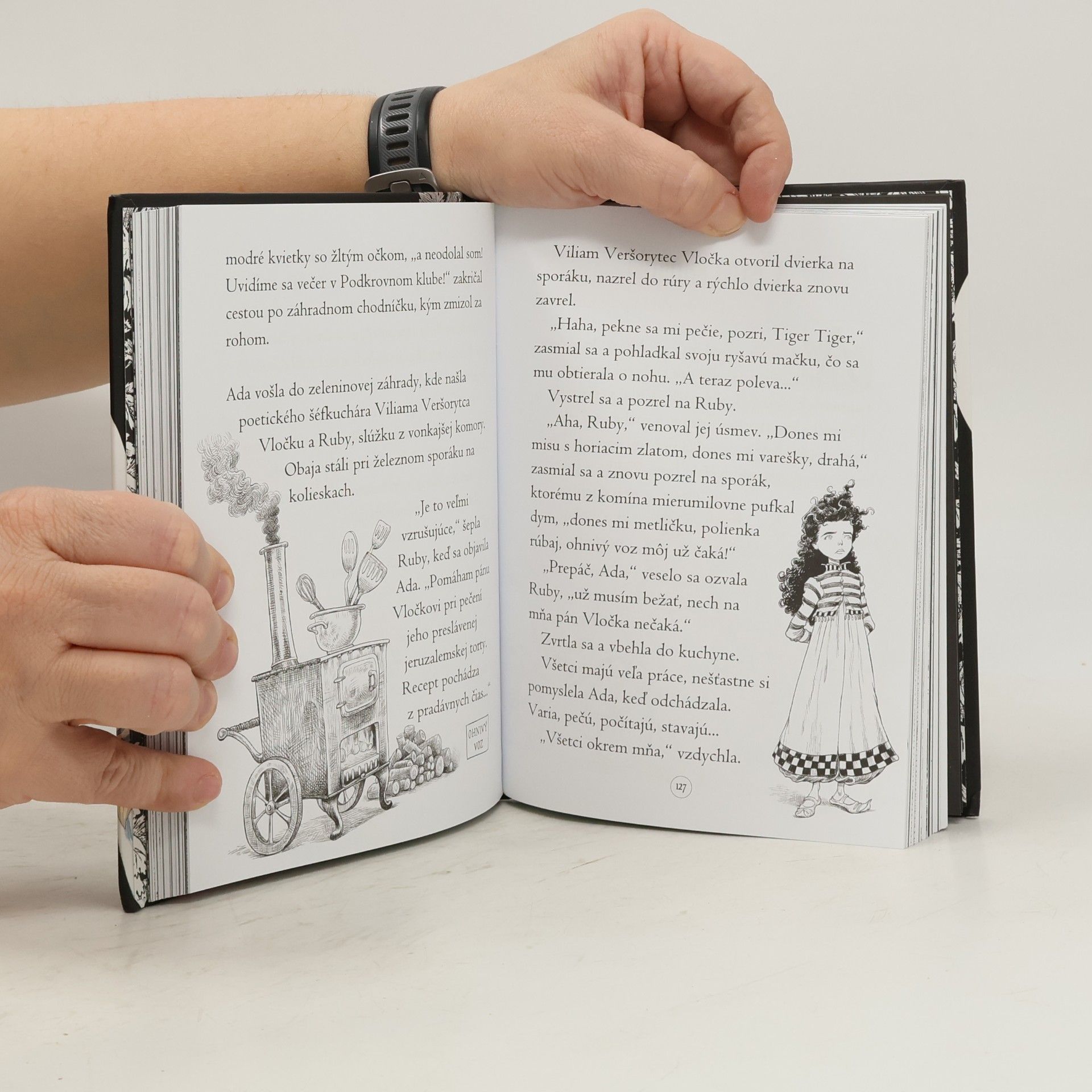 Chris Riddell Fantómová Ada a hrôzostrašná oslava