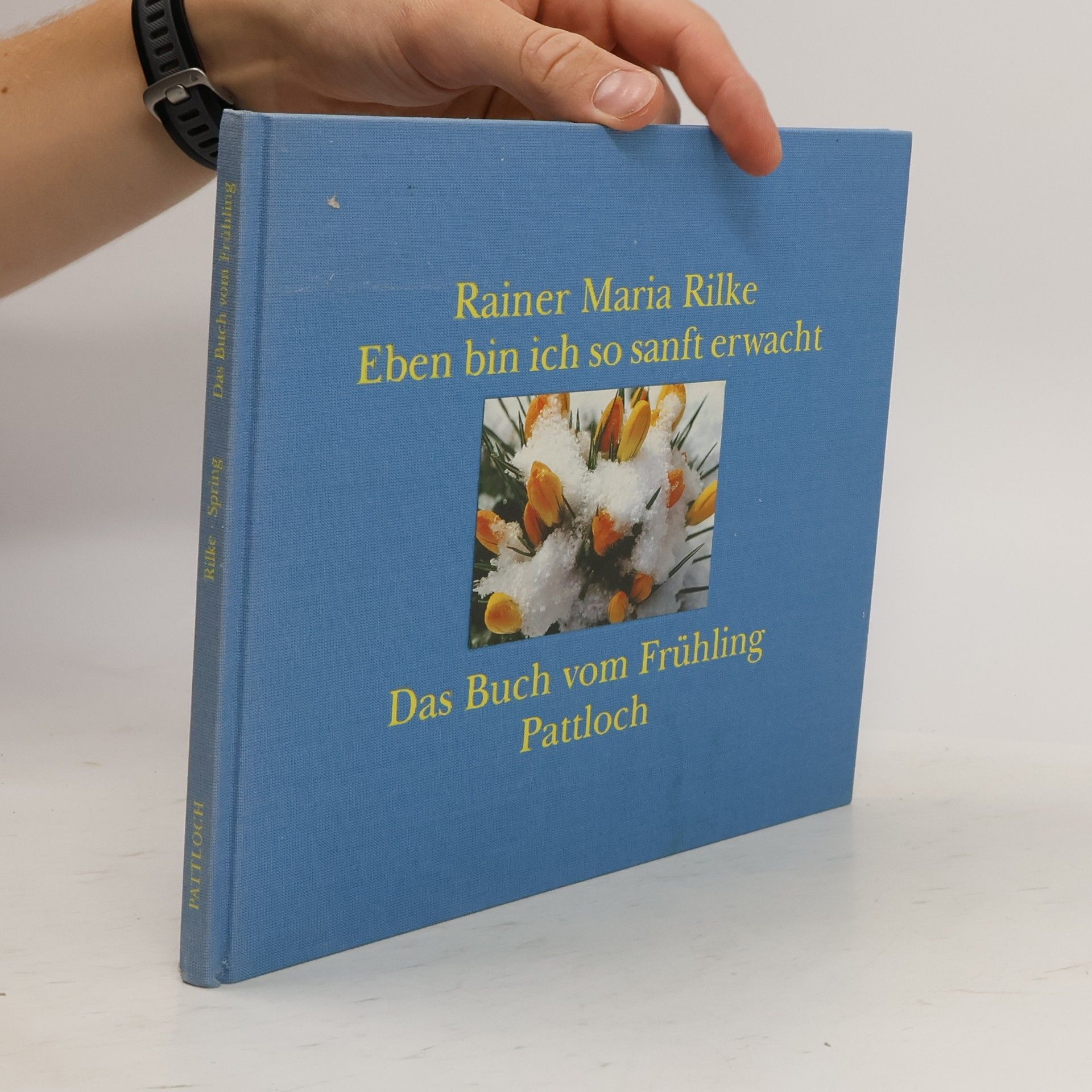 Rainer Maria Rilke Eben bin ich so sanft erwacht, Das Buch vom Frühling