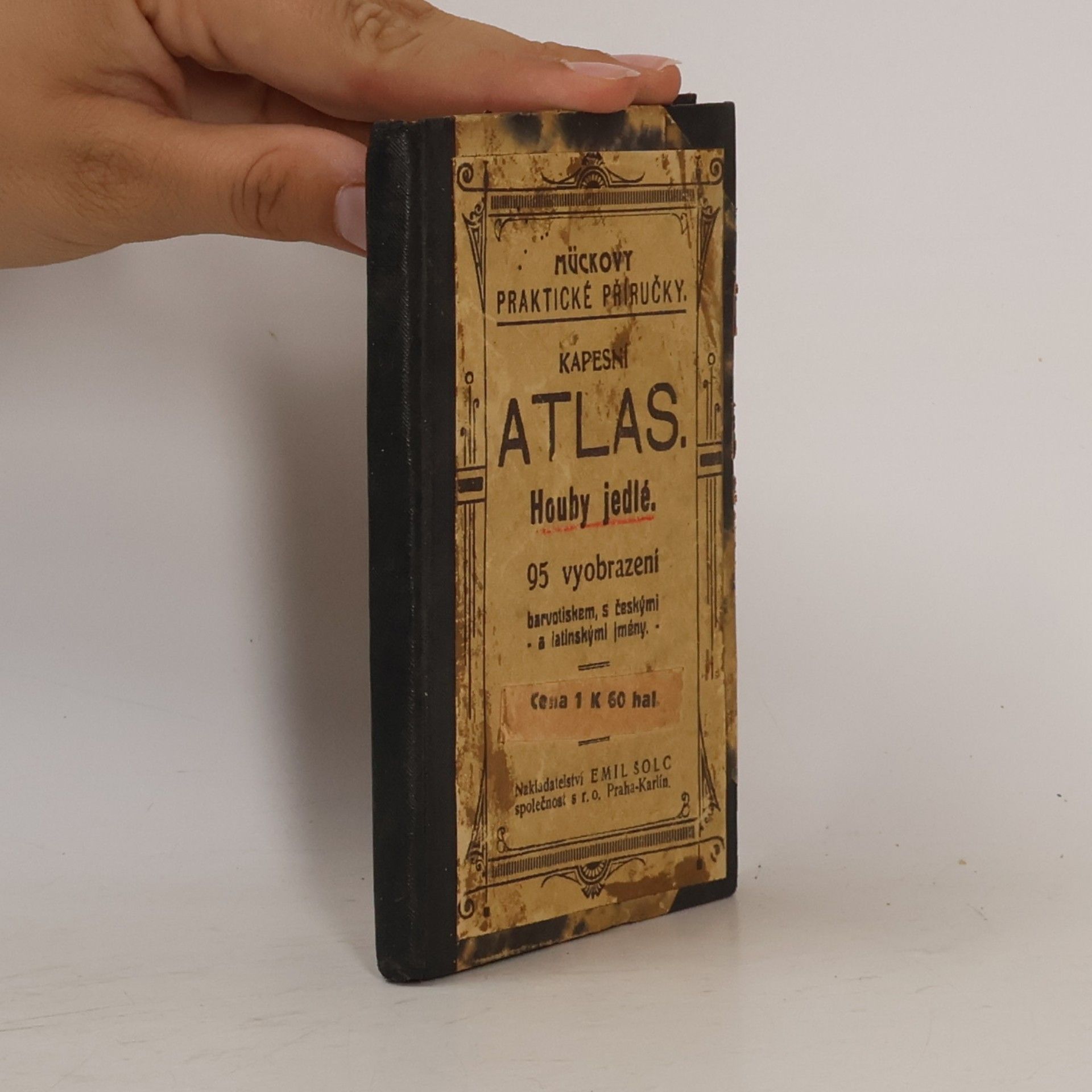 Autorenkollektiv Kapesní atlas. Houby jedlé