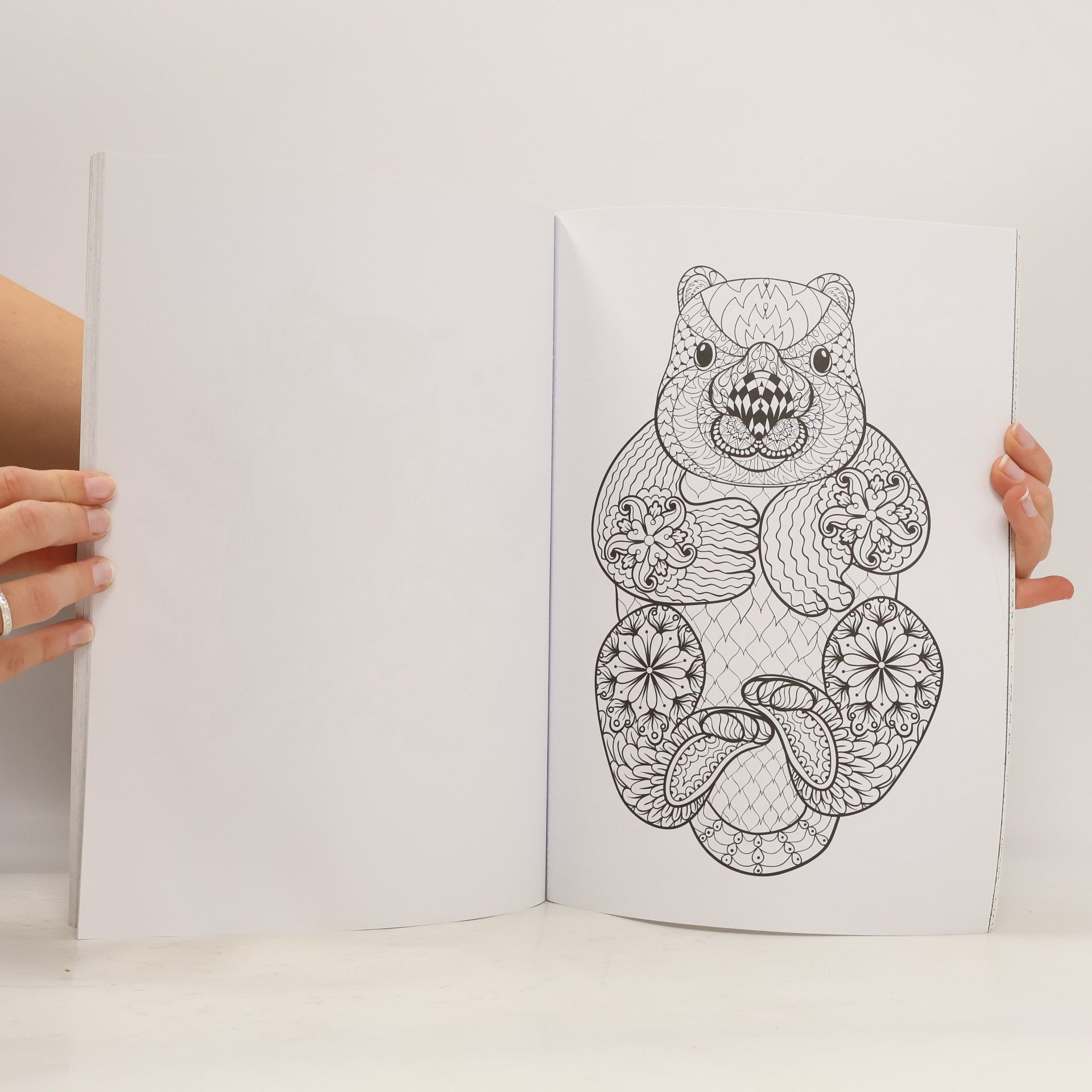 Rachel Urquhart Australian Animals