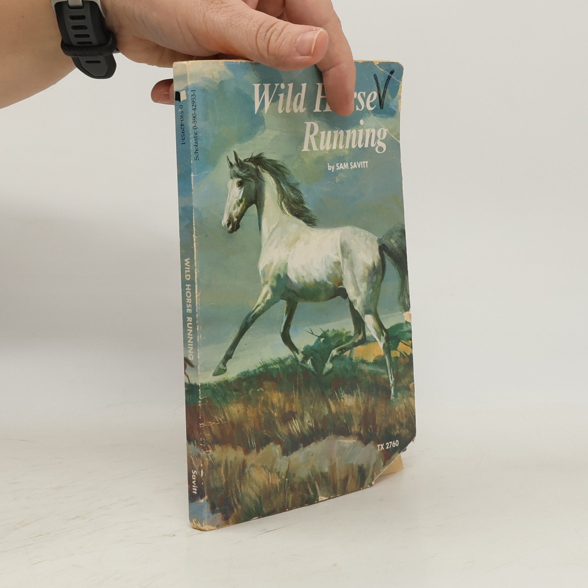 Sam Savitt Wild Horse Running