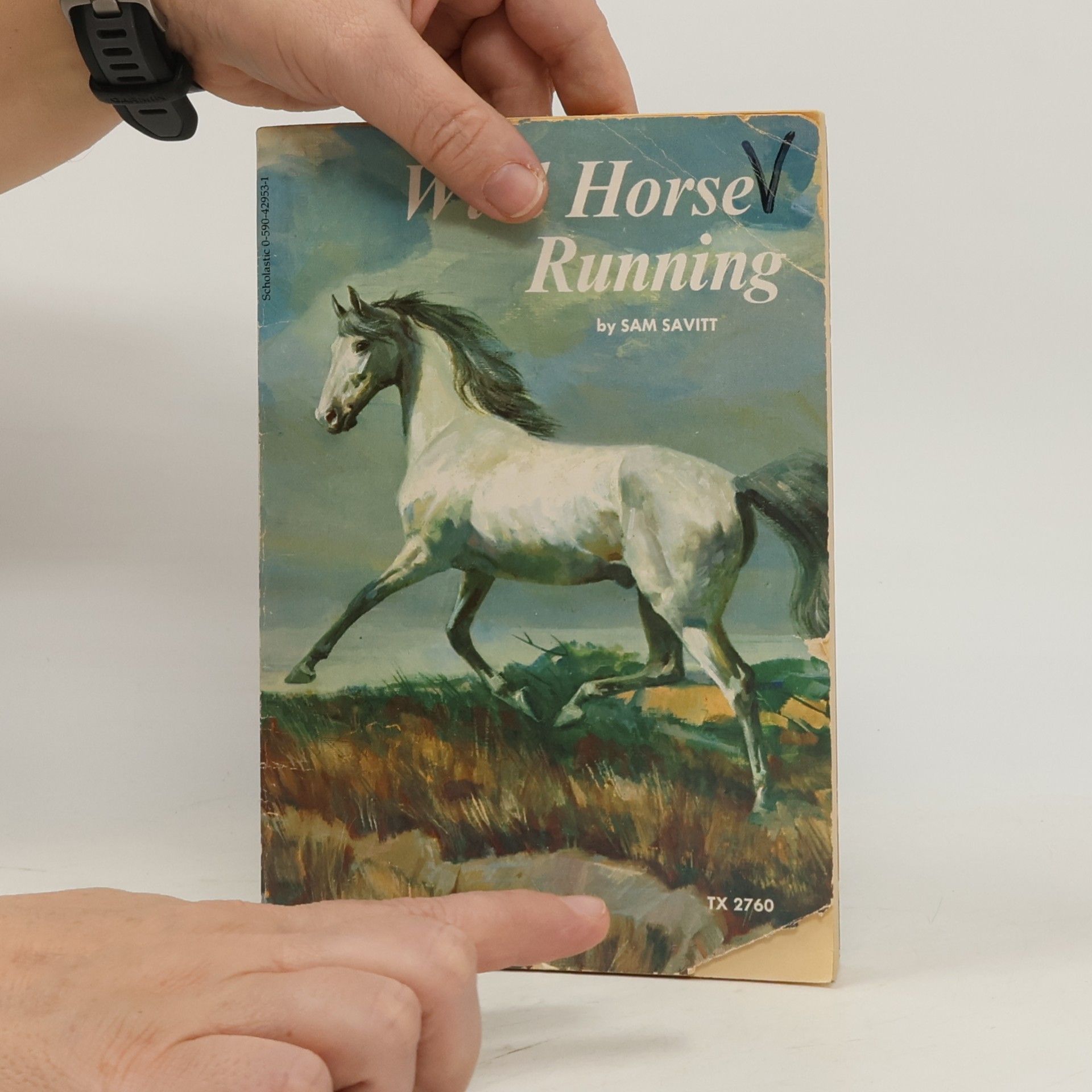 Sam Savitt Wild Horse Running