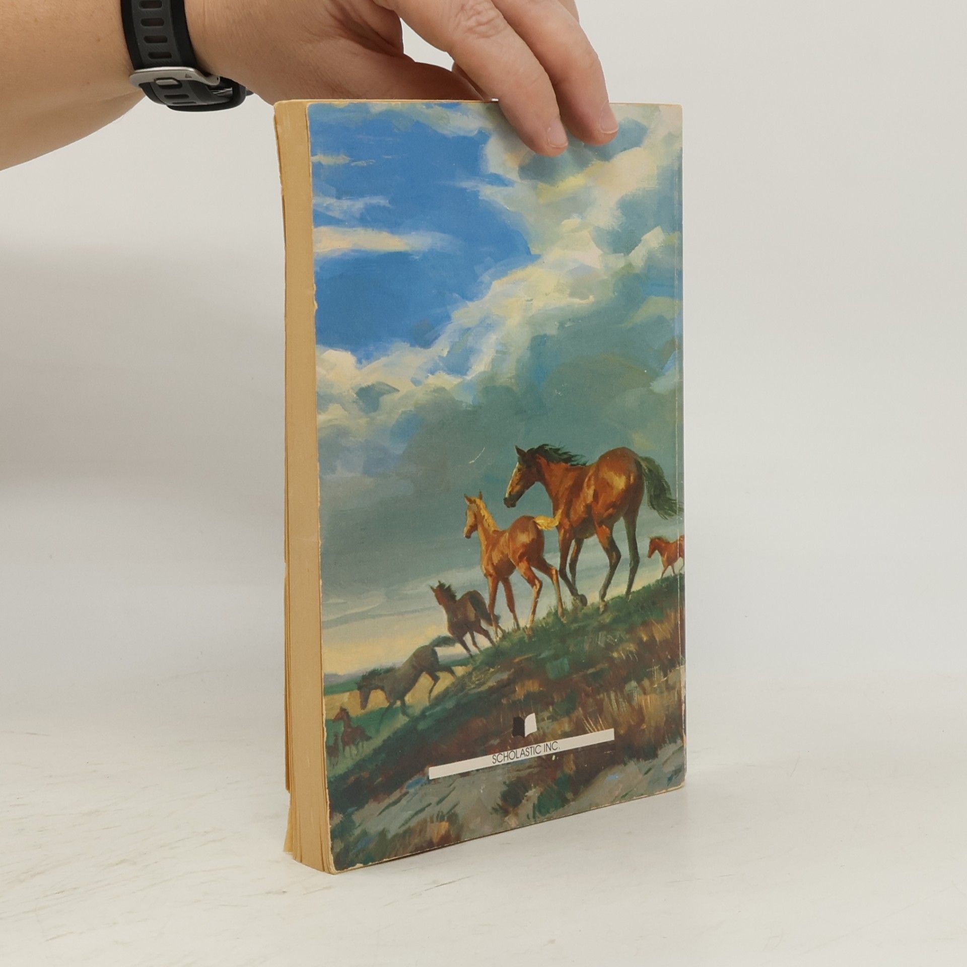 Sam Savitt Wild Horse Running