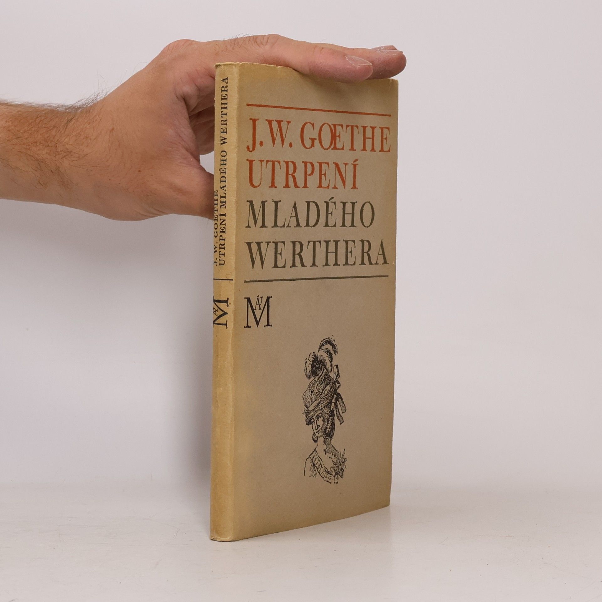 Utrpení mladého Werthera