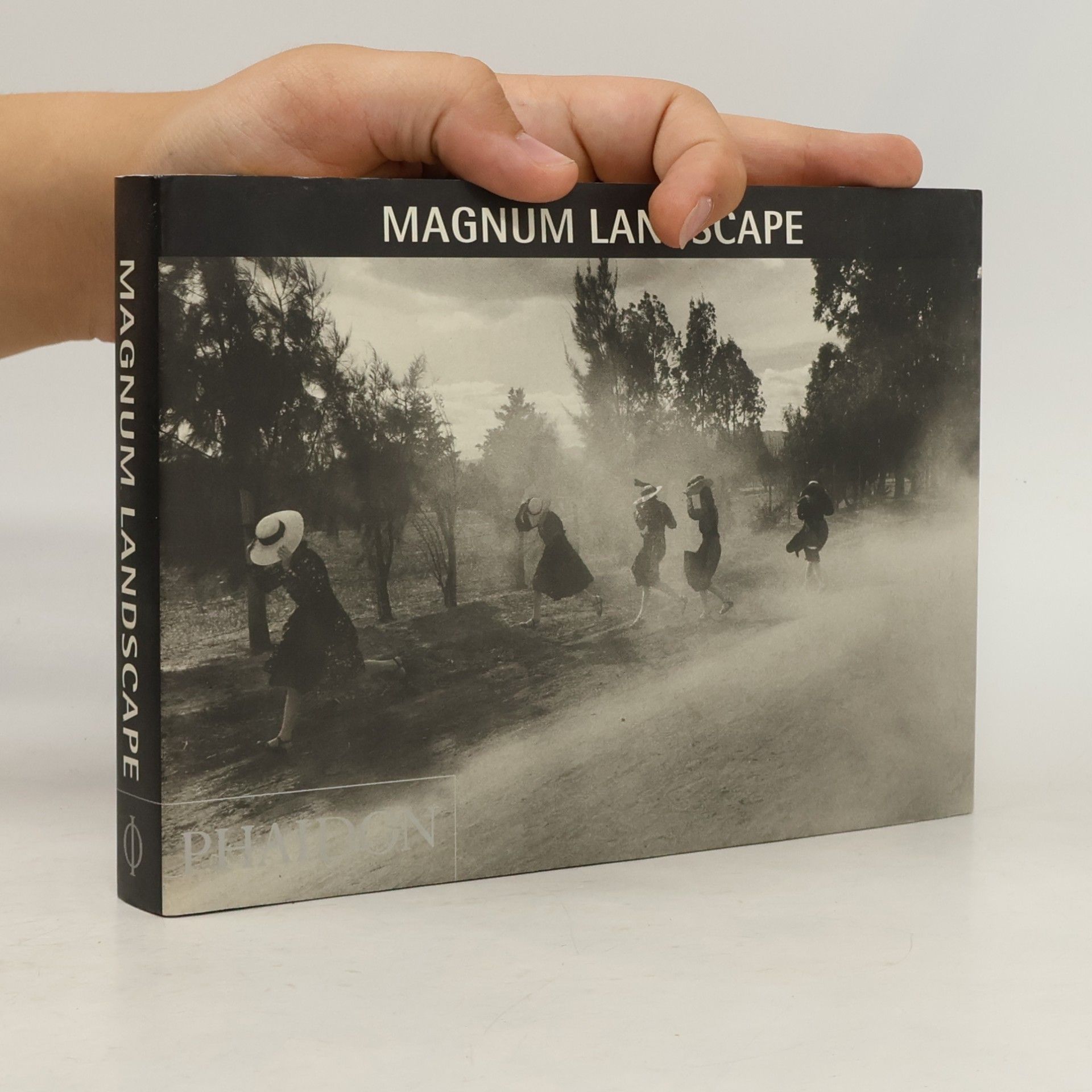 Ian Jeffrey Magnum landscape