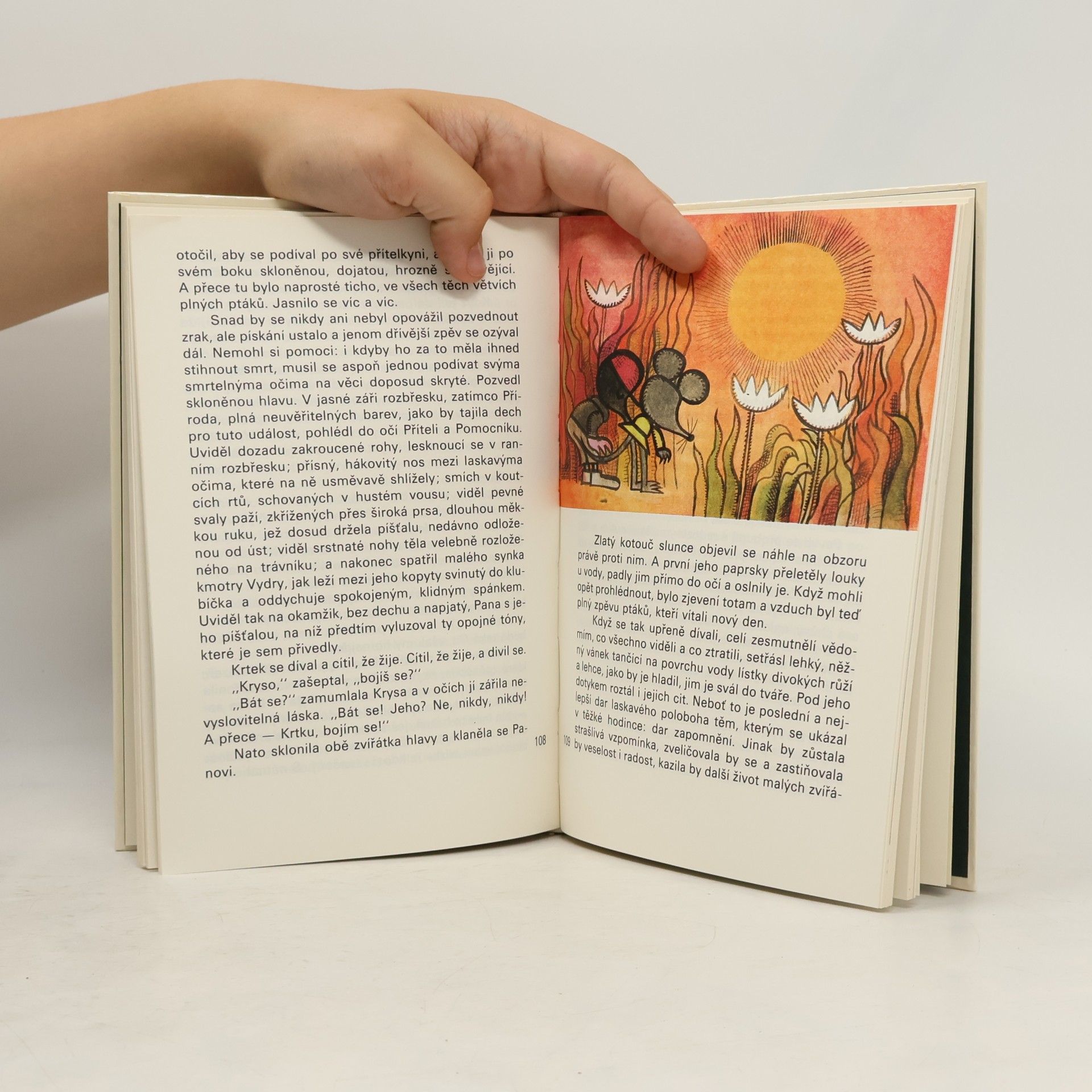 Kenneth Grahame Žabákova dobrodružství