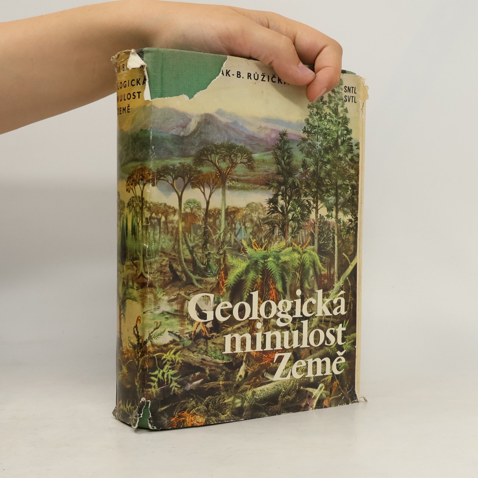 Bohuslav Růžička Geologická minulost Země