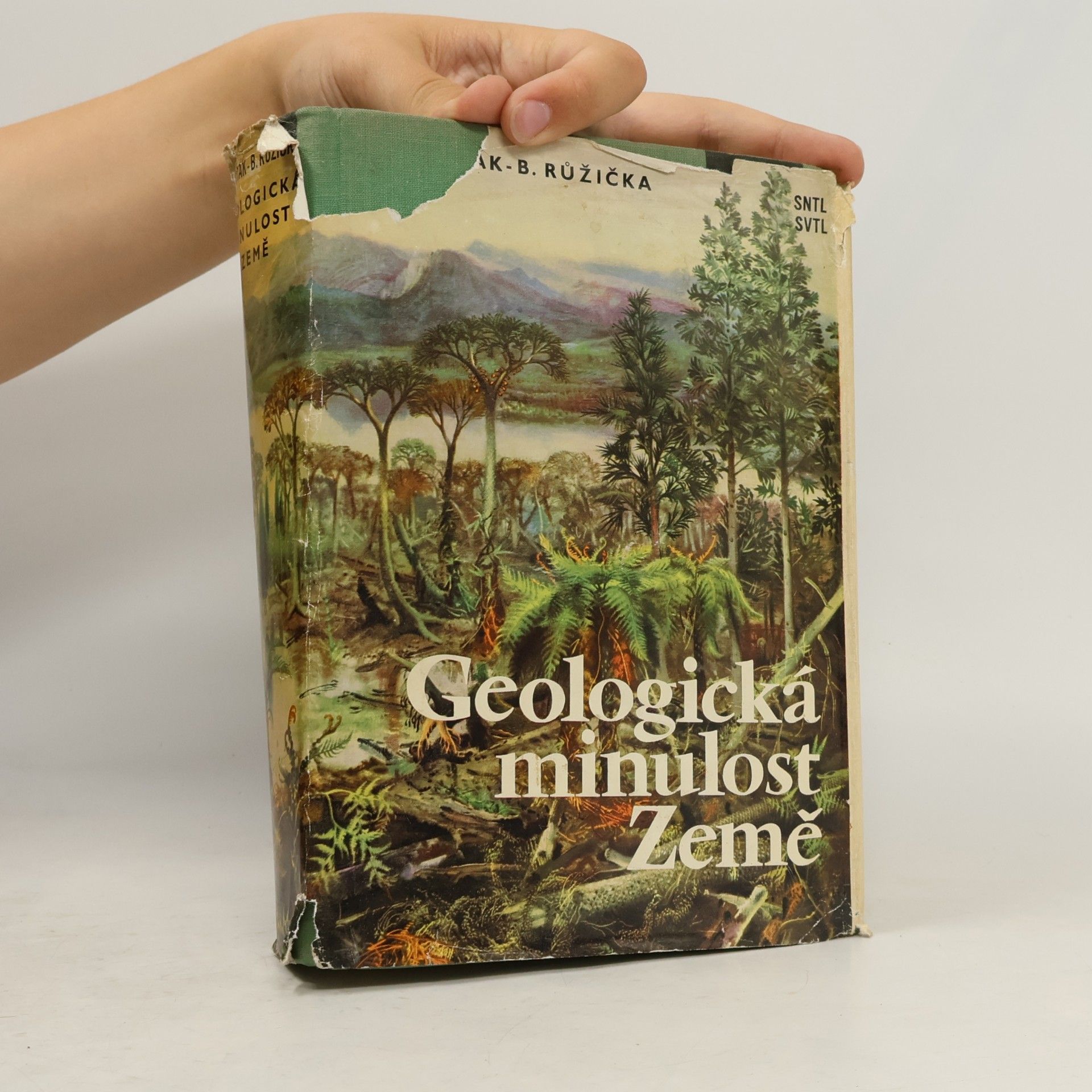 Josef Dvořák Geologická minulost Země