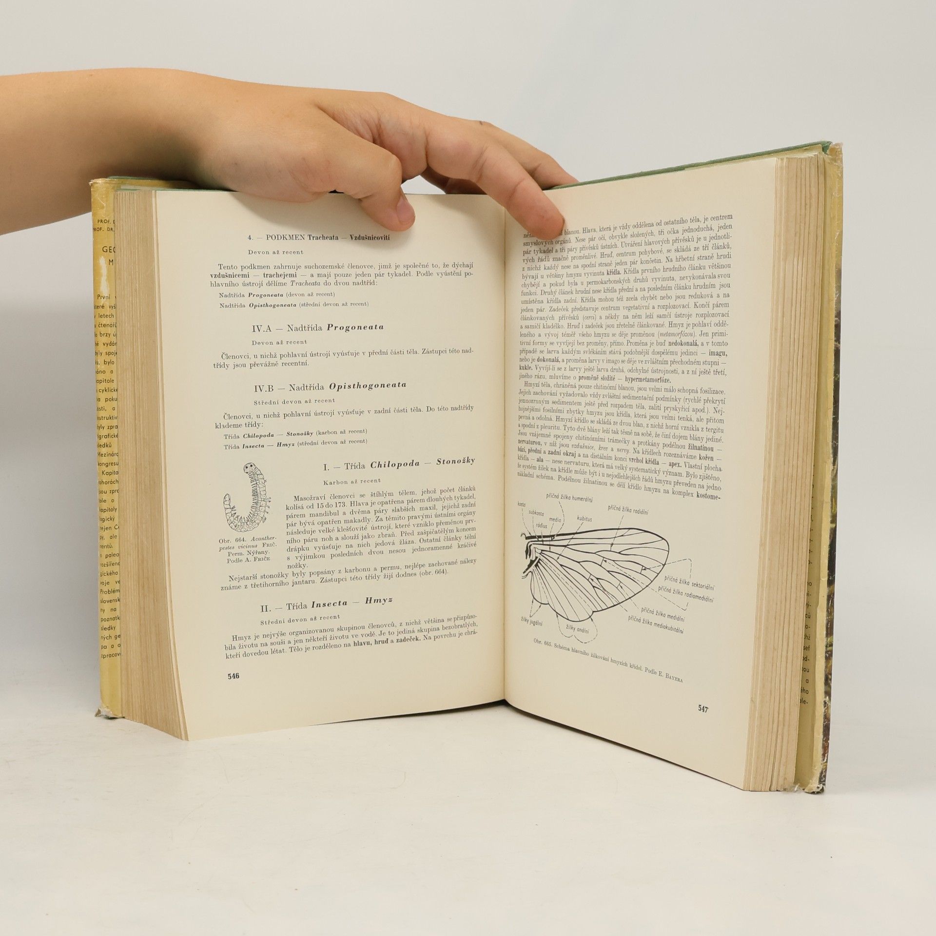 Josef Dvořák Geologická minulost Země
