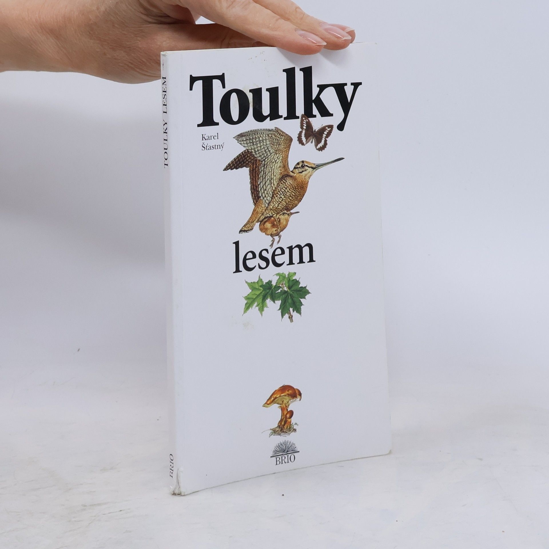Karel Šťastný Toulky lesem