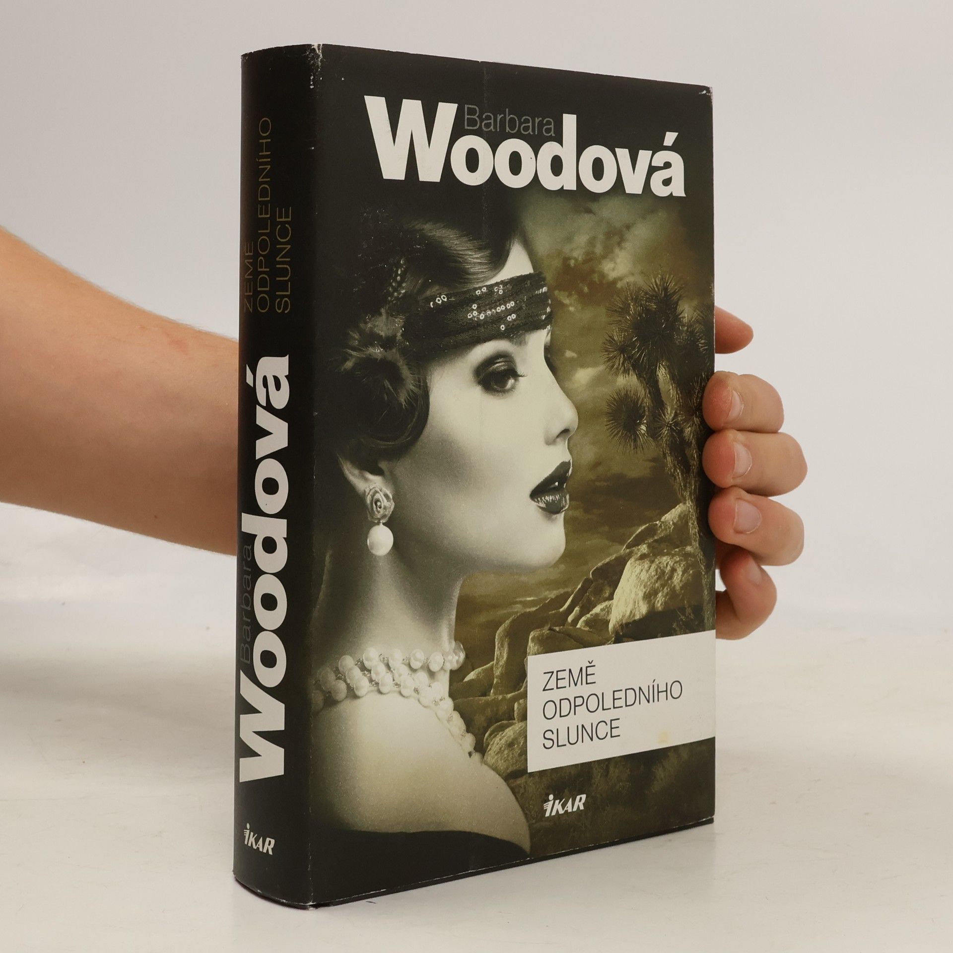 Barbara Wood Země odpoledního slunce