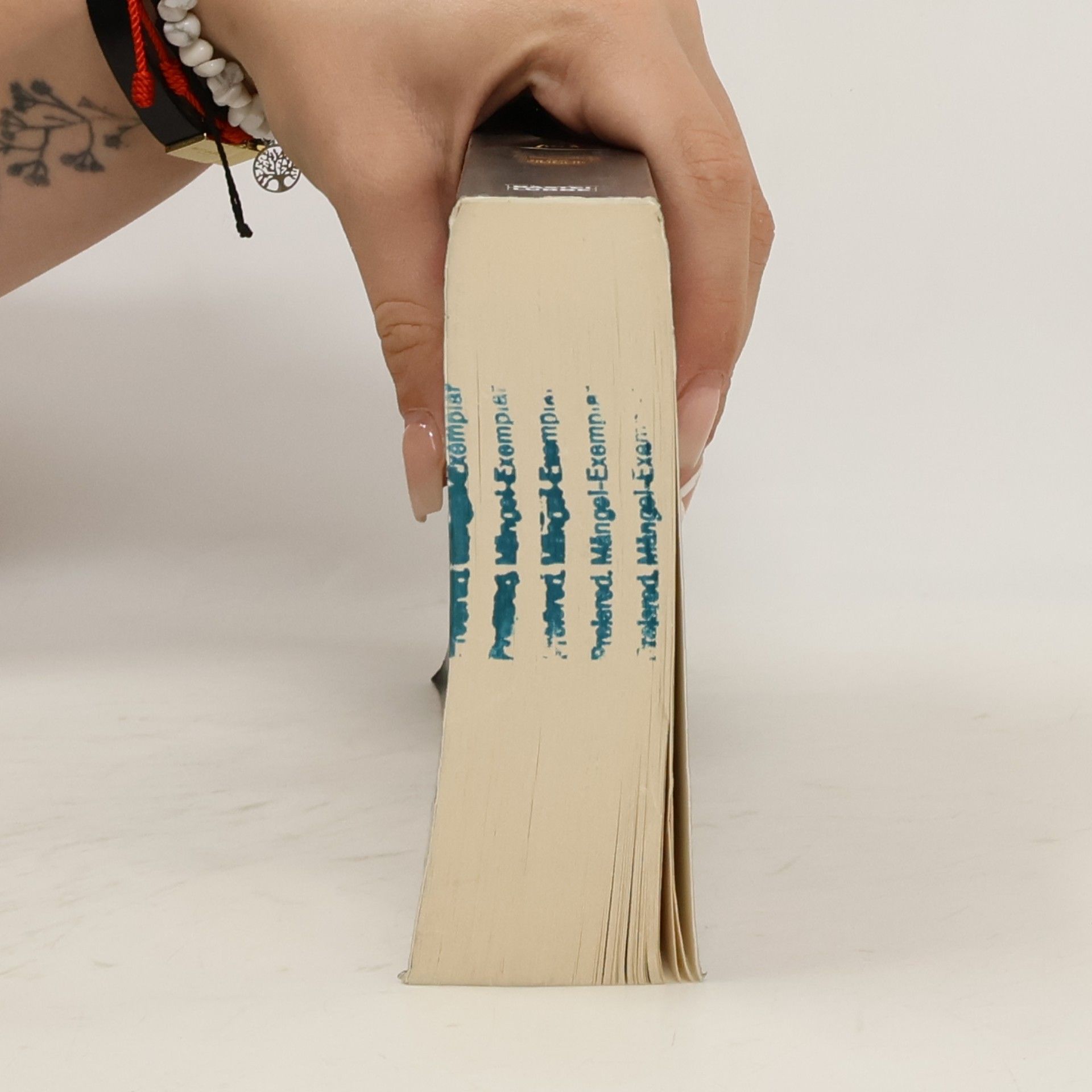 Wolfgang Hohlbein Anubis