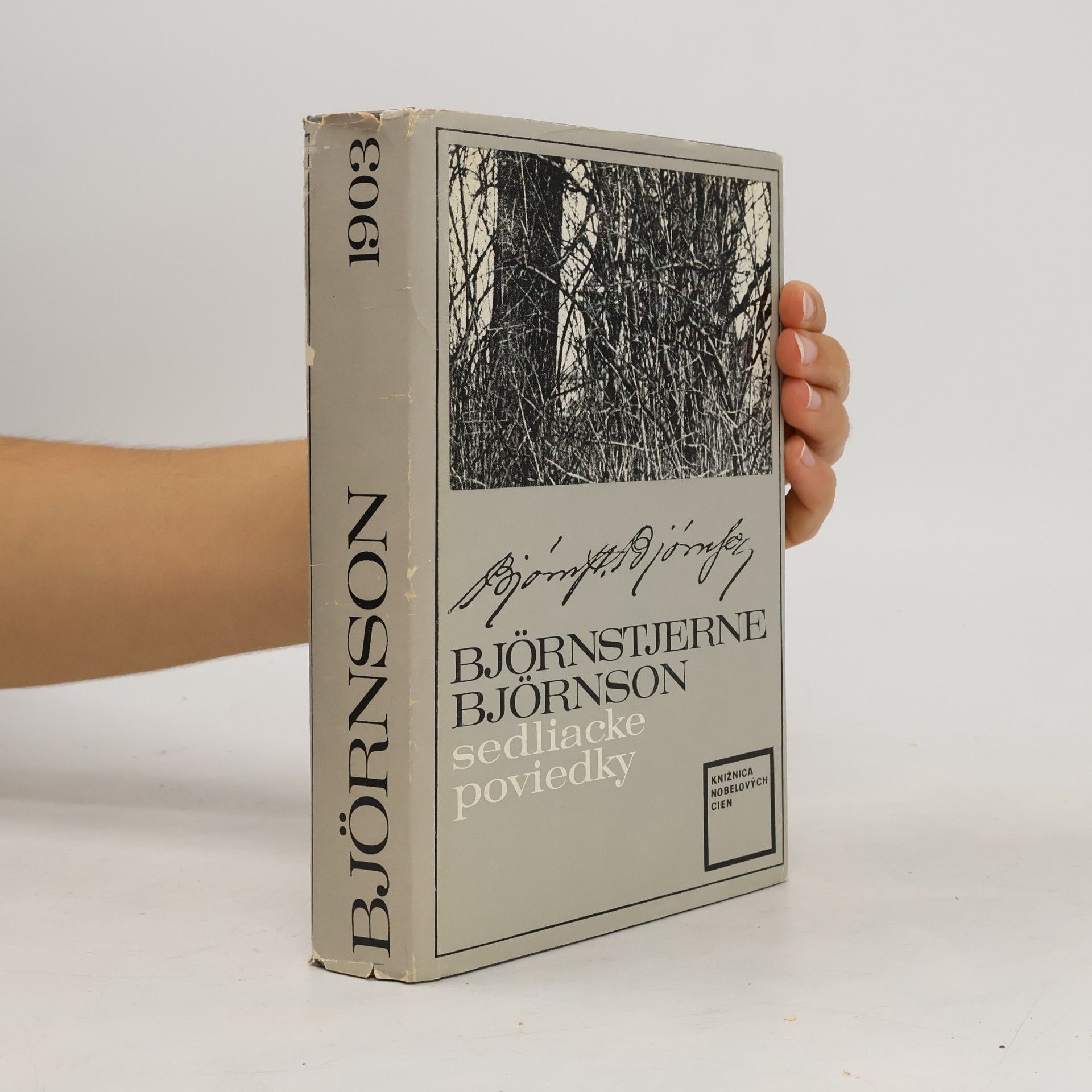 Bjørnstjerne Bjørnson Sedliacke poviedky