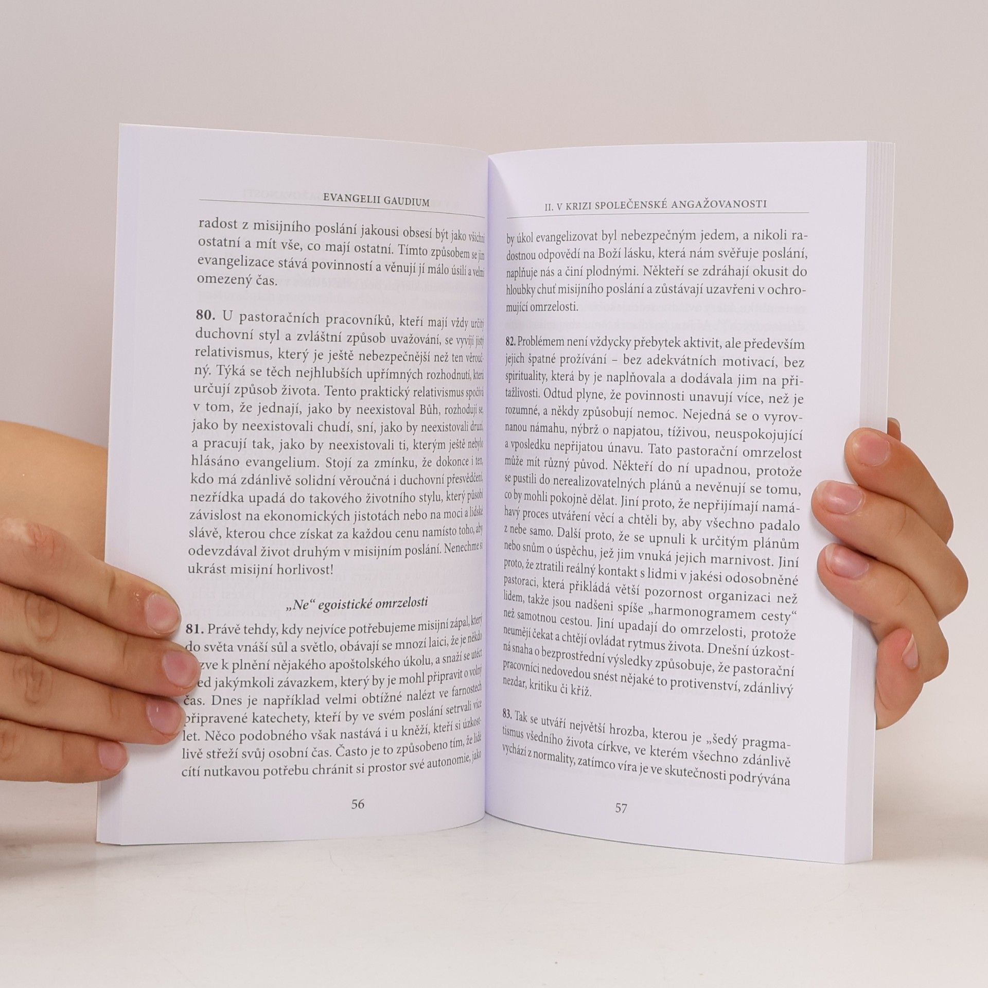 Papež František Evangelii gaudium = Radost evangelia