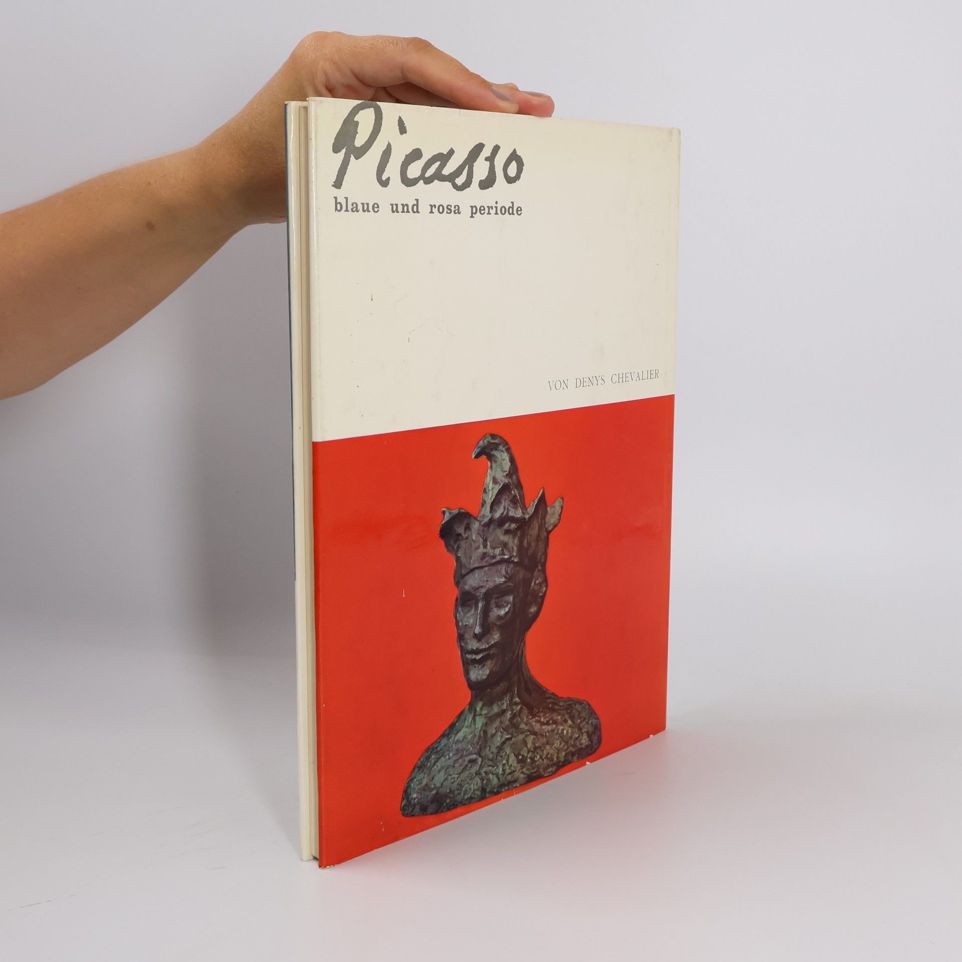 Denis Chevalier Picasso