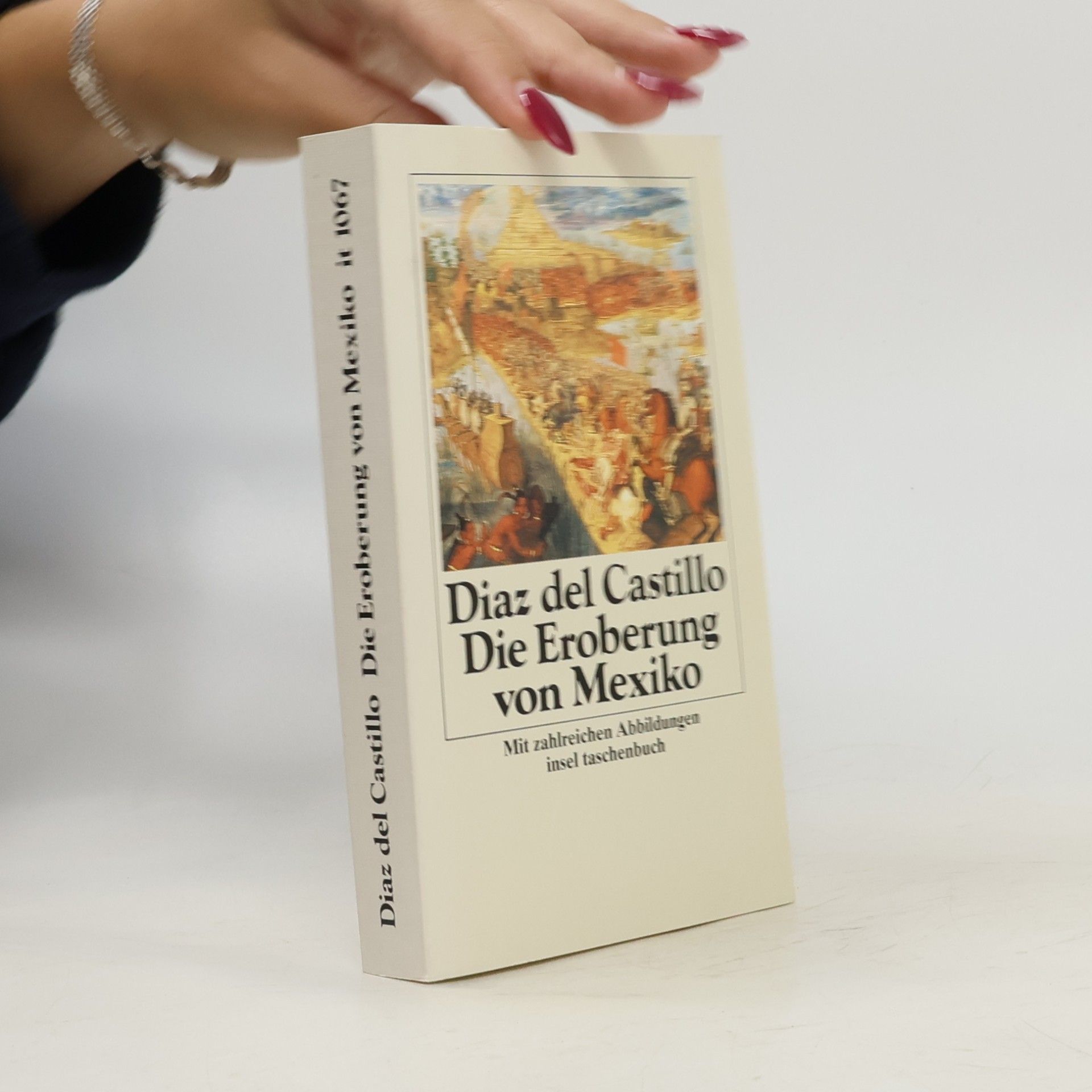 Bernal Díaz del Castillo Geschichte der Eroberung von Mexiko