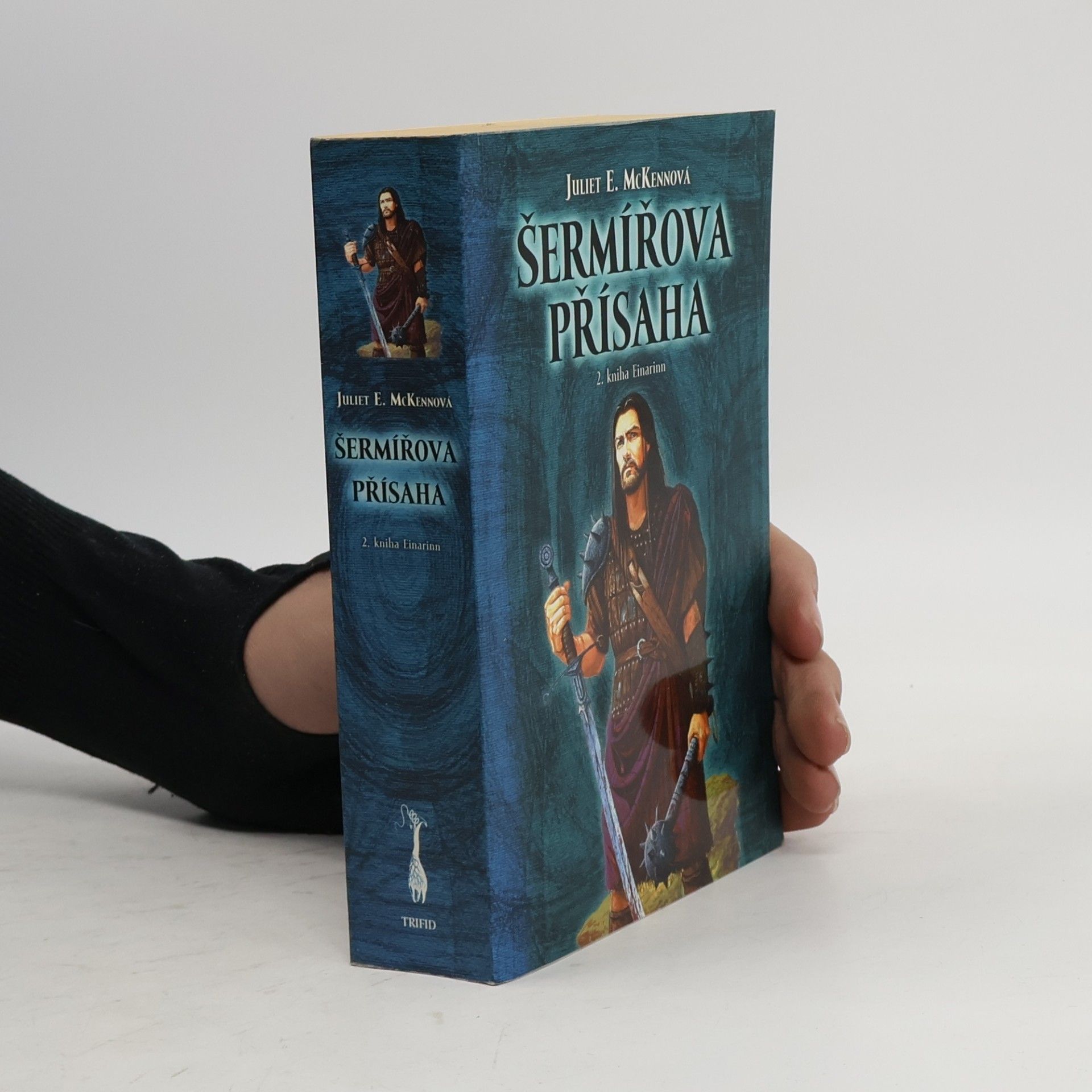 Juliet E. McKenna Šermířova přísaha : 2. kniha Einarinn