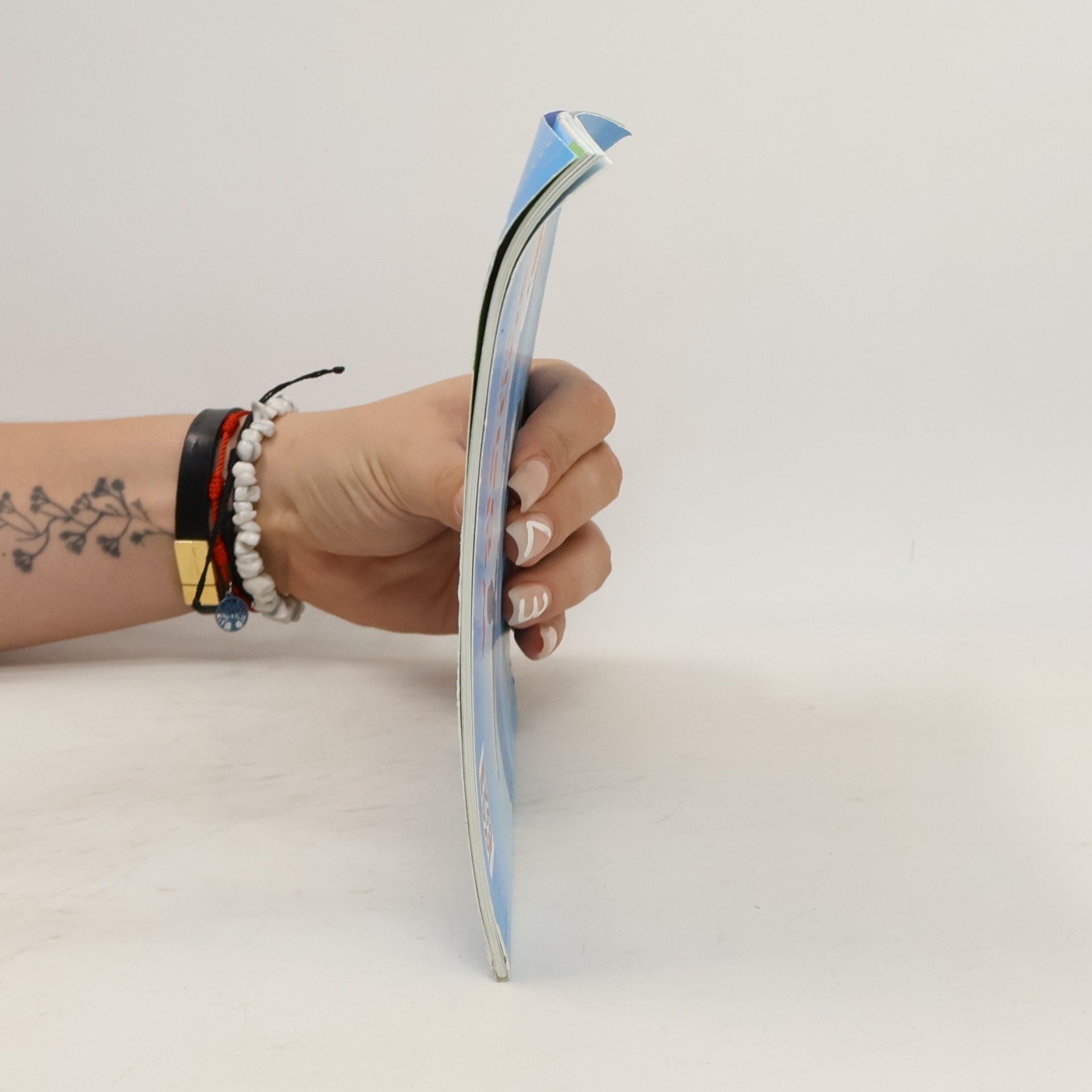 Autores varios Wale und Delfine