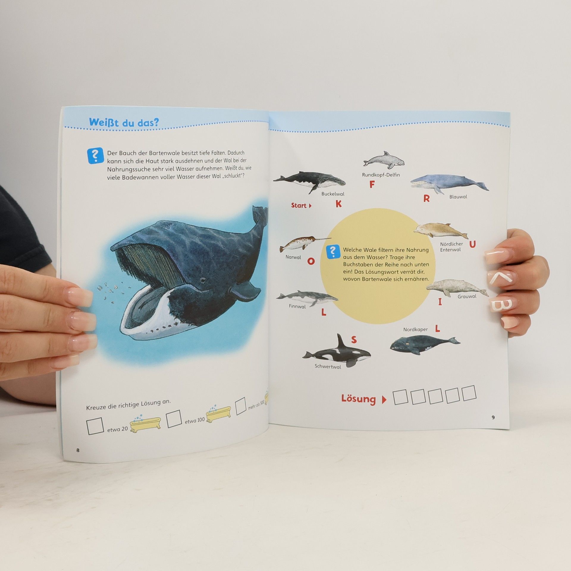 Autores varios Wale und Delfine