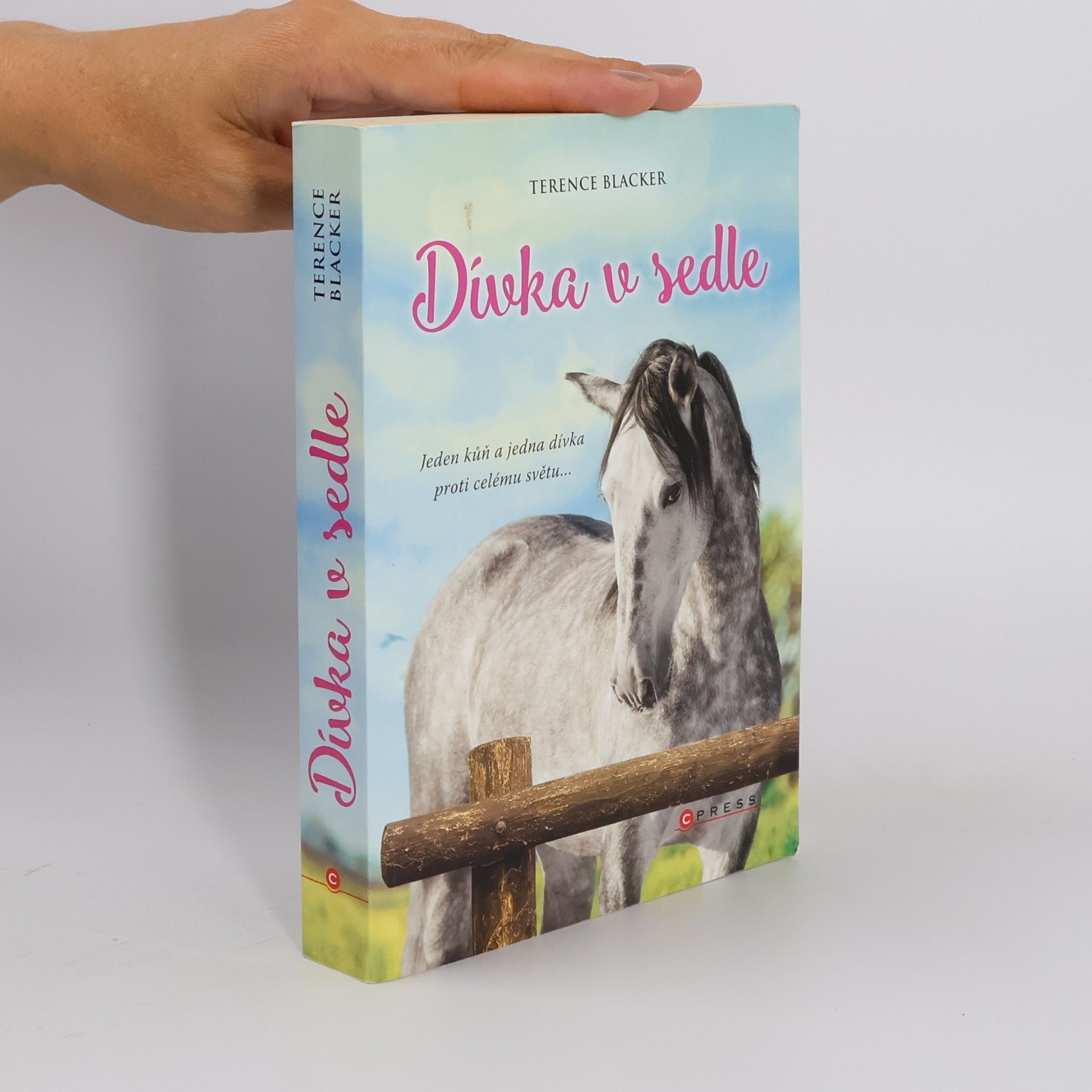 Terence Blacker Dívka v sedle