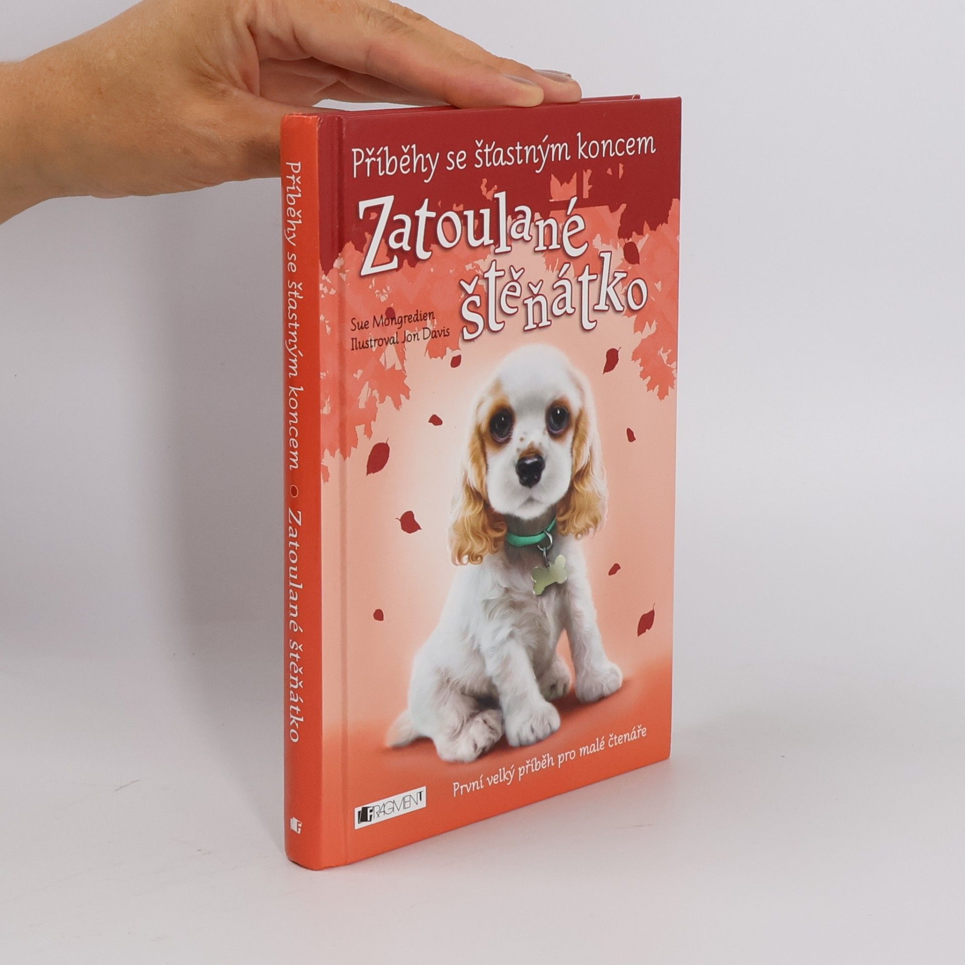 Lucy Diamond Zatoulané štěňátko