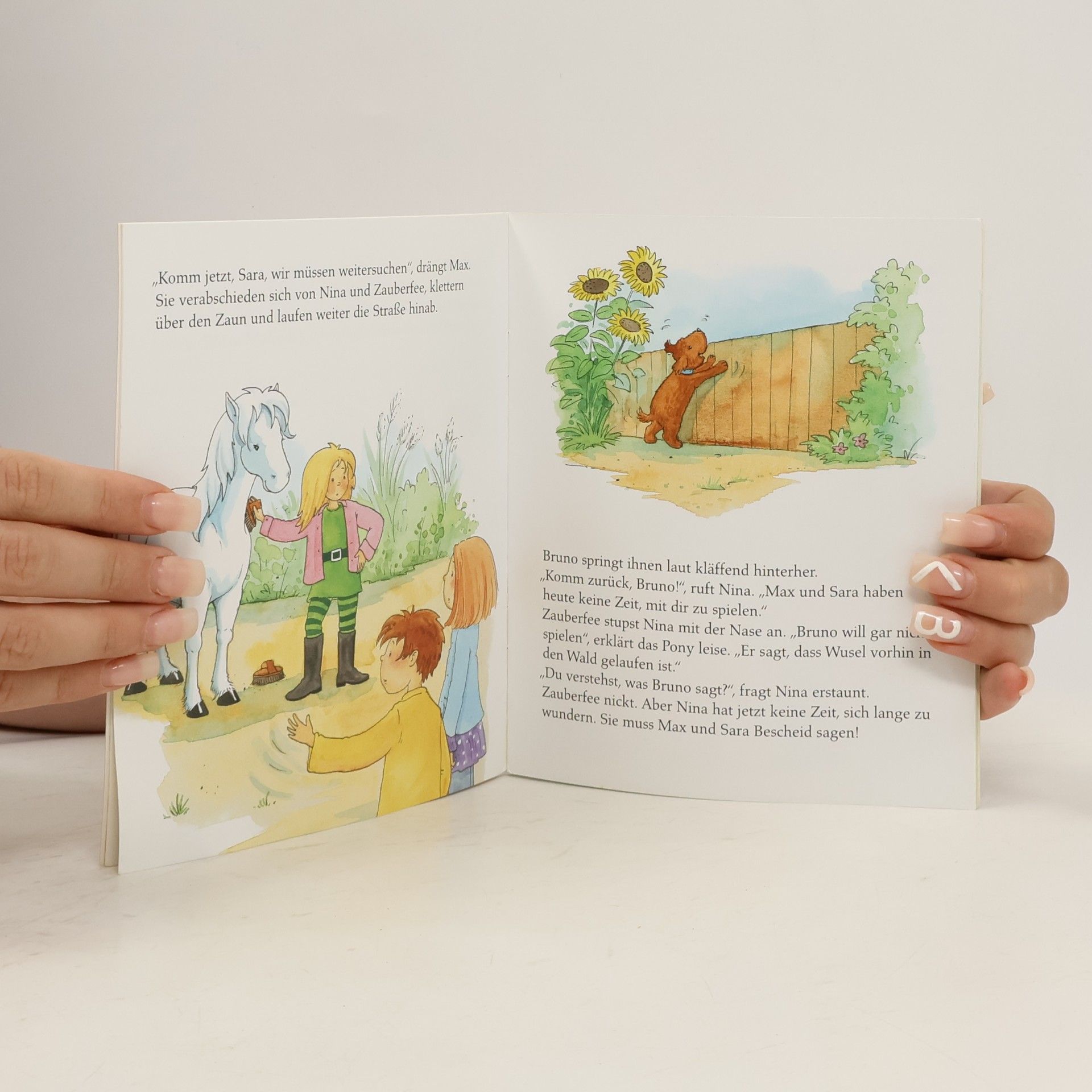 Sabine Streufert Pony Zauberfee. Wusel ist verschwunden