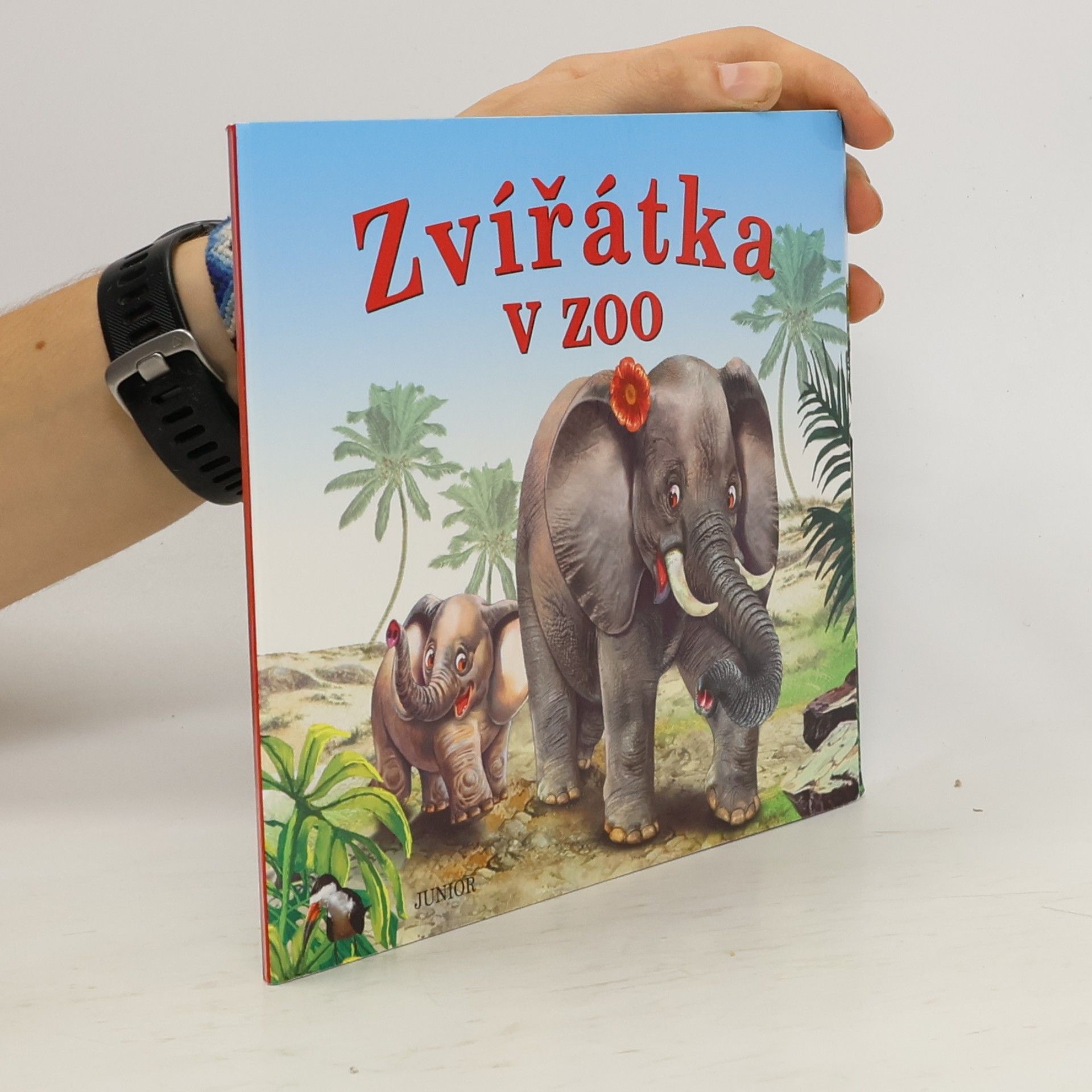Kolektiv autorů Zvířátka v ZOO