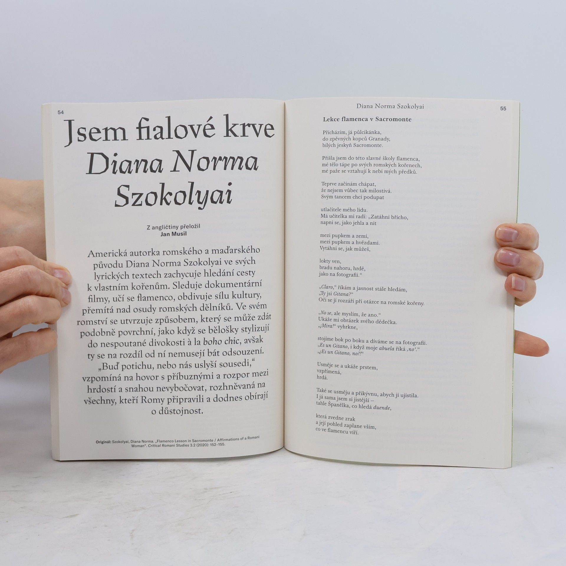 kolektiv Plav 3/2026