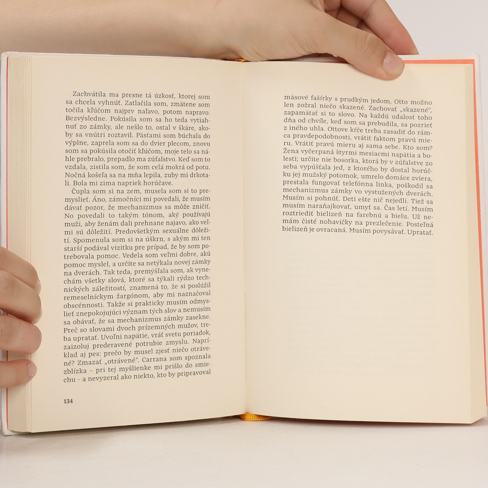Elena Ferrante Dni opustenia