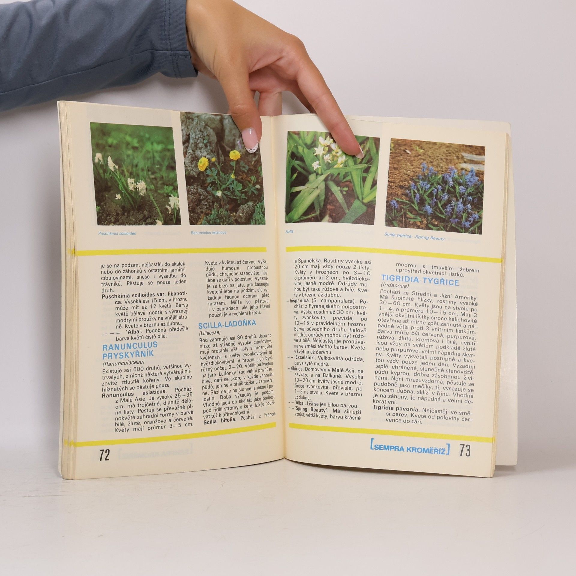 Collectif d'auteurs Katalog Sempra, závod Kroměříž
