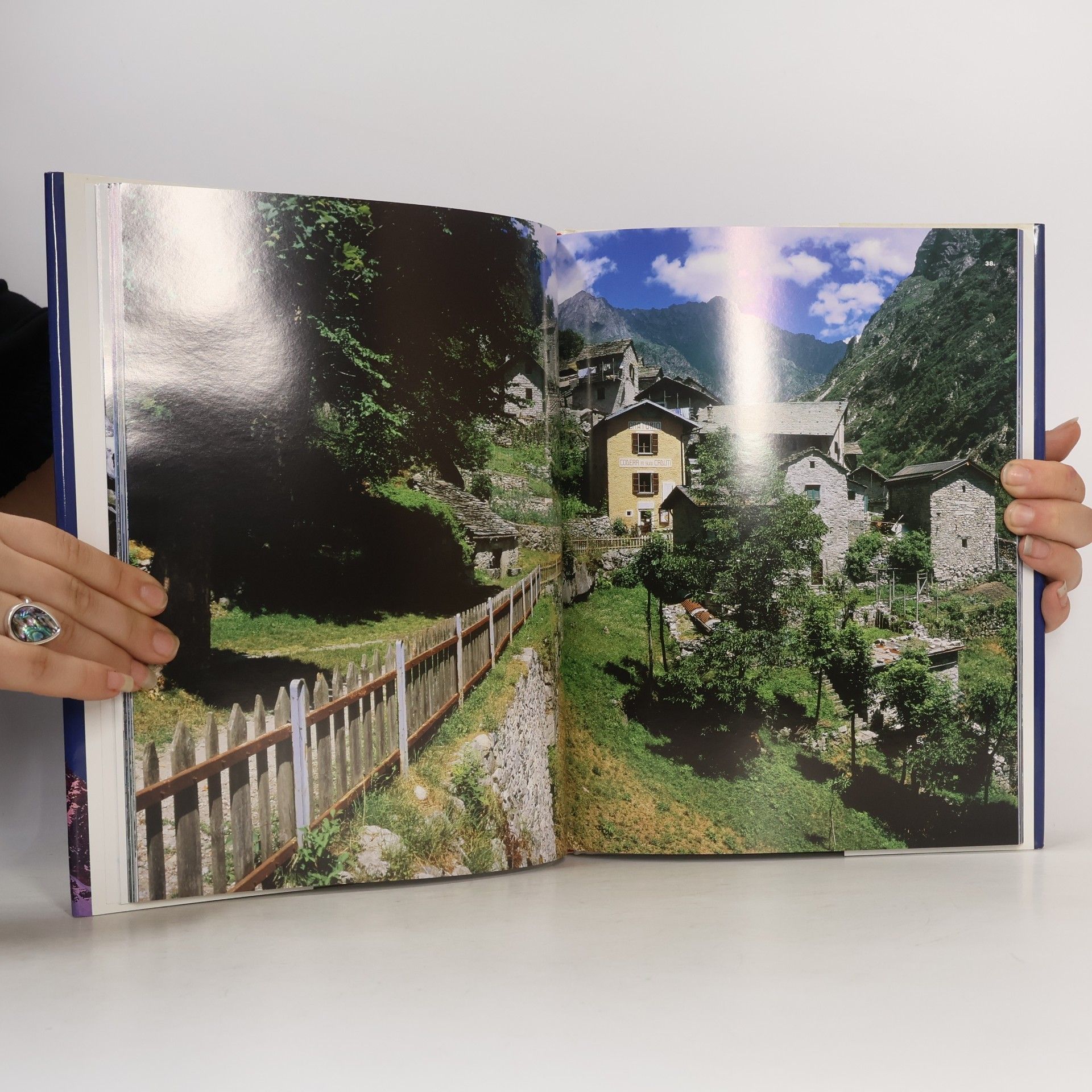 Alessandro Gogna Babelis turris: Le Alpi