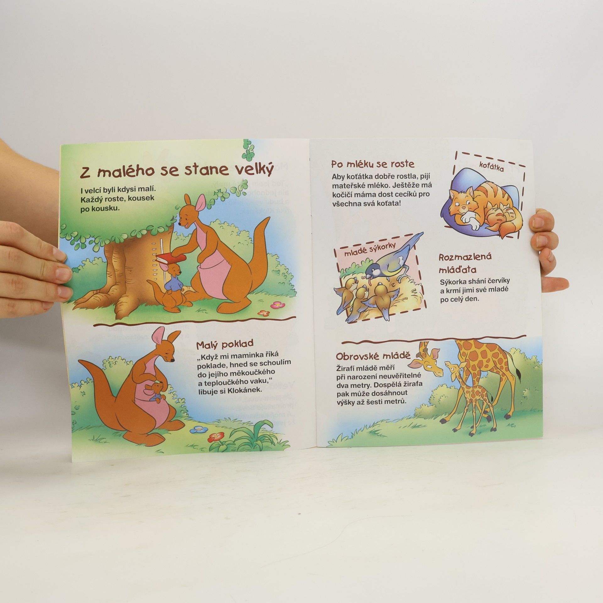 Walt Disney Medvídek Pú - Poznáváme malé a velké